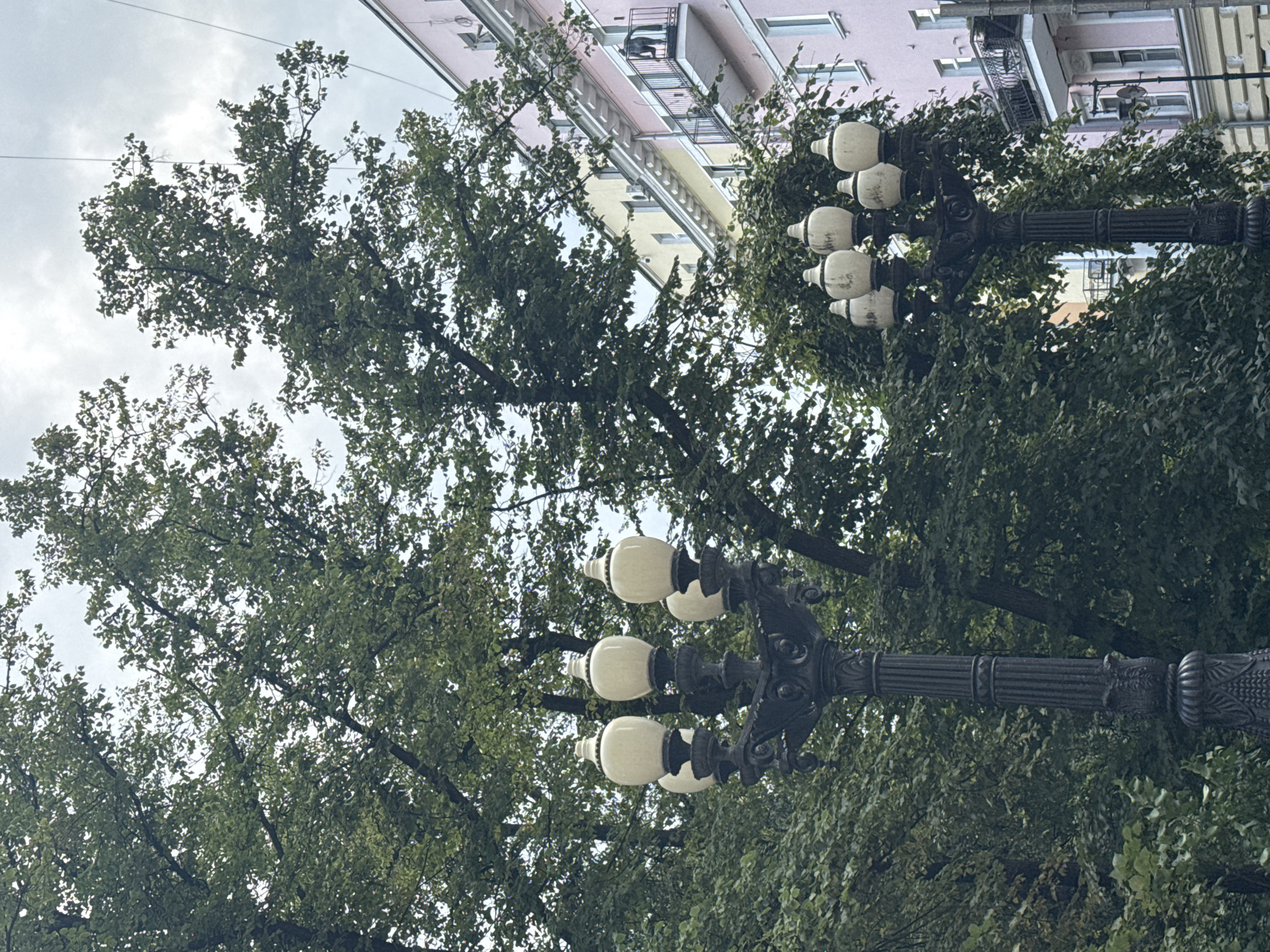 A street lamp with five white globes stands in the foreground, its ornate black metal post detailed with intricate carvings. Behind the lamp, lush green trees with dense foliage dominate the scene, their branches reaching upwards and partially obscuring the overcast sky. To the right, a multi-story building with a pink facade and yellow accents is visible, featuring balconies with black railings. The architecture suggests an urban setting. The image appears to be taken in Moscow, Russia, given the architectural style of the building and the presence of ornate street lamps, which are characteristic of the city.