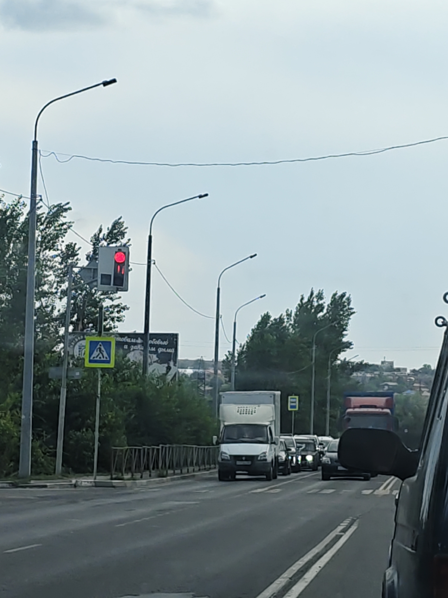 The image shows a traffic scene on a cloudy day in Novocherkassk, Russia. In the foreground, the side mirror of a dark vehicle is visible. The road ahead is a multi-lane asphalt surface. On the left side of the road, a pedestrian crossing sign is displayed, and a traffic light shows a red signal. Several trees line the side of the road. Further down the road, various vehicles are visible, including a white van, several cars, and at least two trucks. In the background, a distant cityscape with buildings and more trees can be seen. The overall scene depicts a typical urban traffic environment.