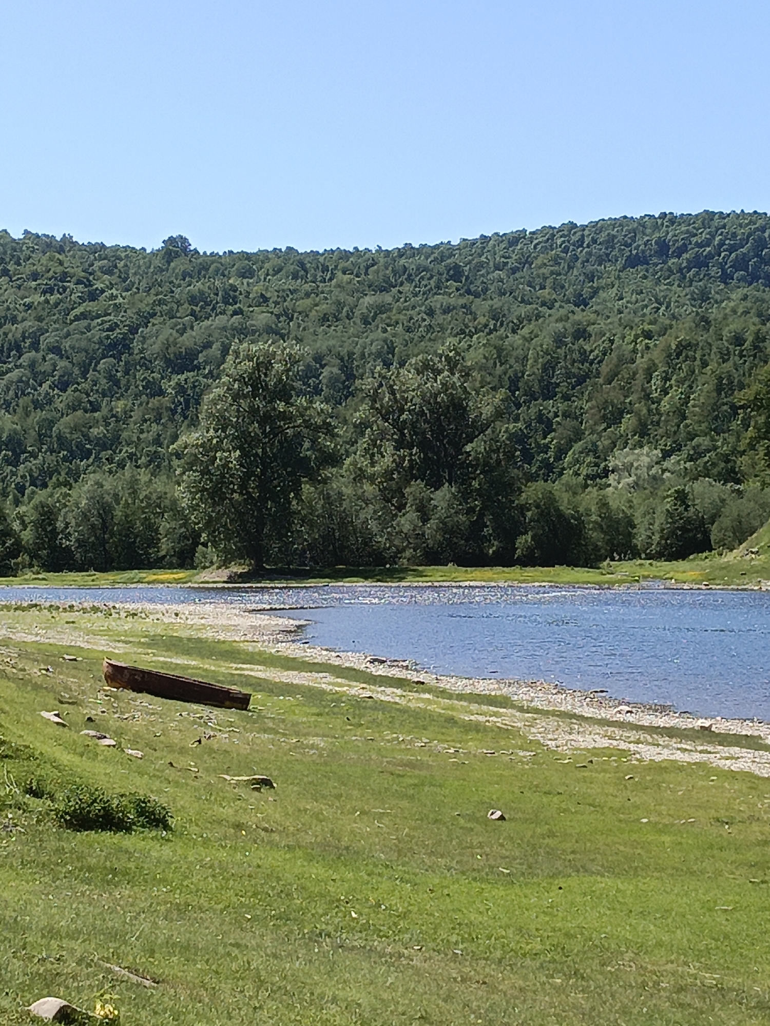 The image shows a riverside landscape, likely in a rural area. A body of water, possibly a river or a wide stream, occupies the midground. The water is blue and reflects the clear sky. A grassy bank slopes down to a gravelly shoreline. A small, weathered, wooden boat lies on the grass. The opposite bank is densely wooded with green trees, extending to the horizon and covering a low-lying hill. The sky is clear and blue. The photograph appears to have been taken during the day in bright sunlight. The specific location is Gabdyukovo, Russia.