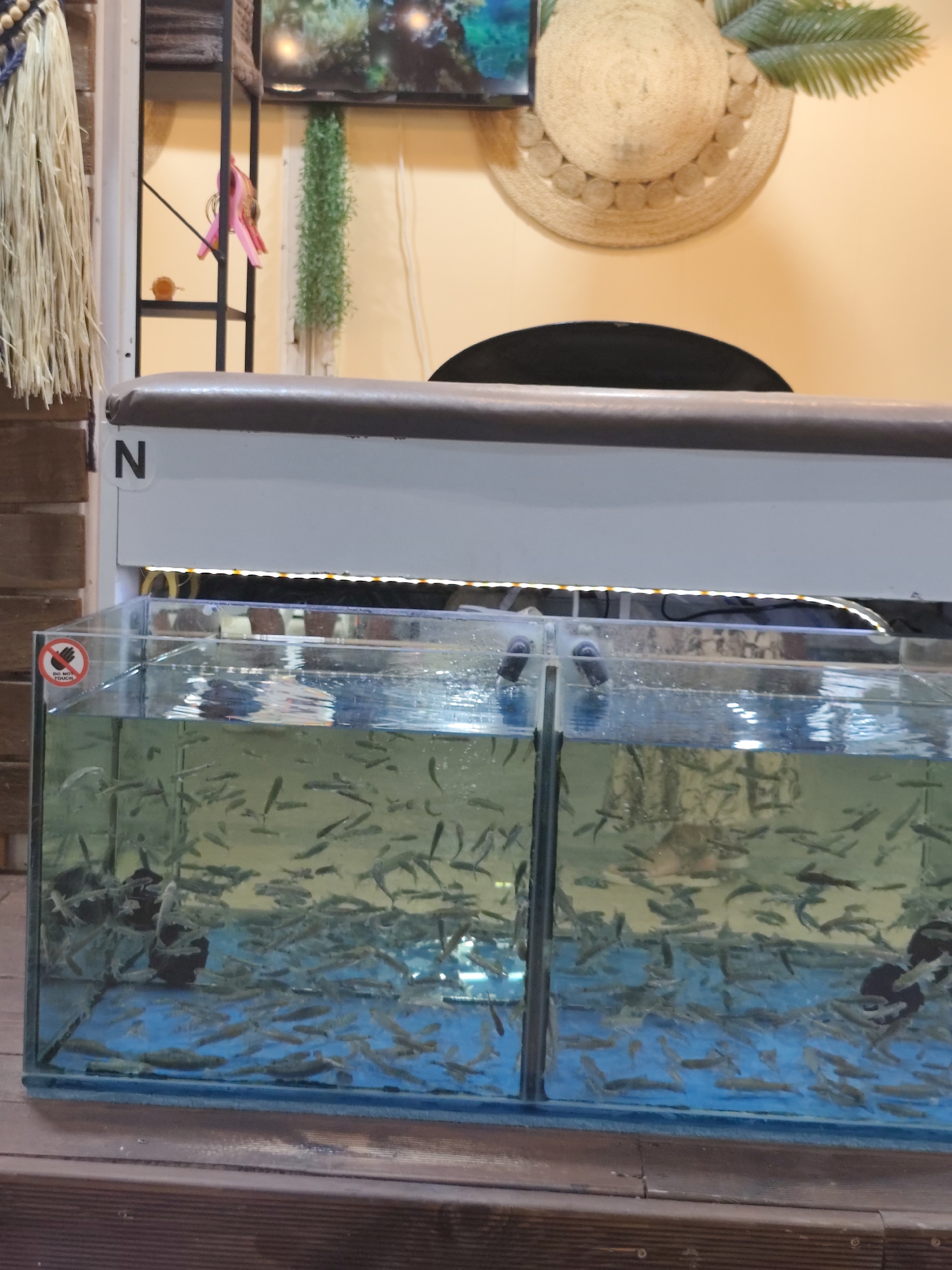 The image depicts a retail establishment, likely a spa or wellness center, in Nesebar, Bulgaria. The foreground features two large glass aquariums filled with numerous small fish, commonly used for "fish pedicures." The aquariums are positioned on a wooden surface, possibly a deck or counter. Above the aquariums, a white counter or desk is visible, with the letter "N" prominently displayed on its front. In the background, a shelf unit holds various decorative items, including a straw hat with a palm frond, and hanging greenery. A television screen is mounted on the wall. The overall environment appears clean and well-lit, suggesting a commercial setting. There are no individuals directly interacting with the fish or the aquariums in the frame.
