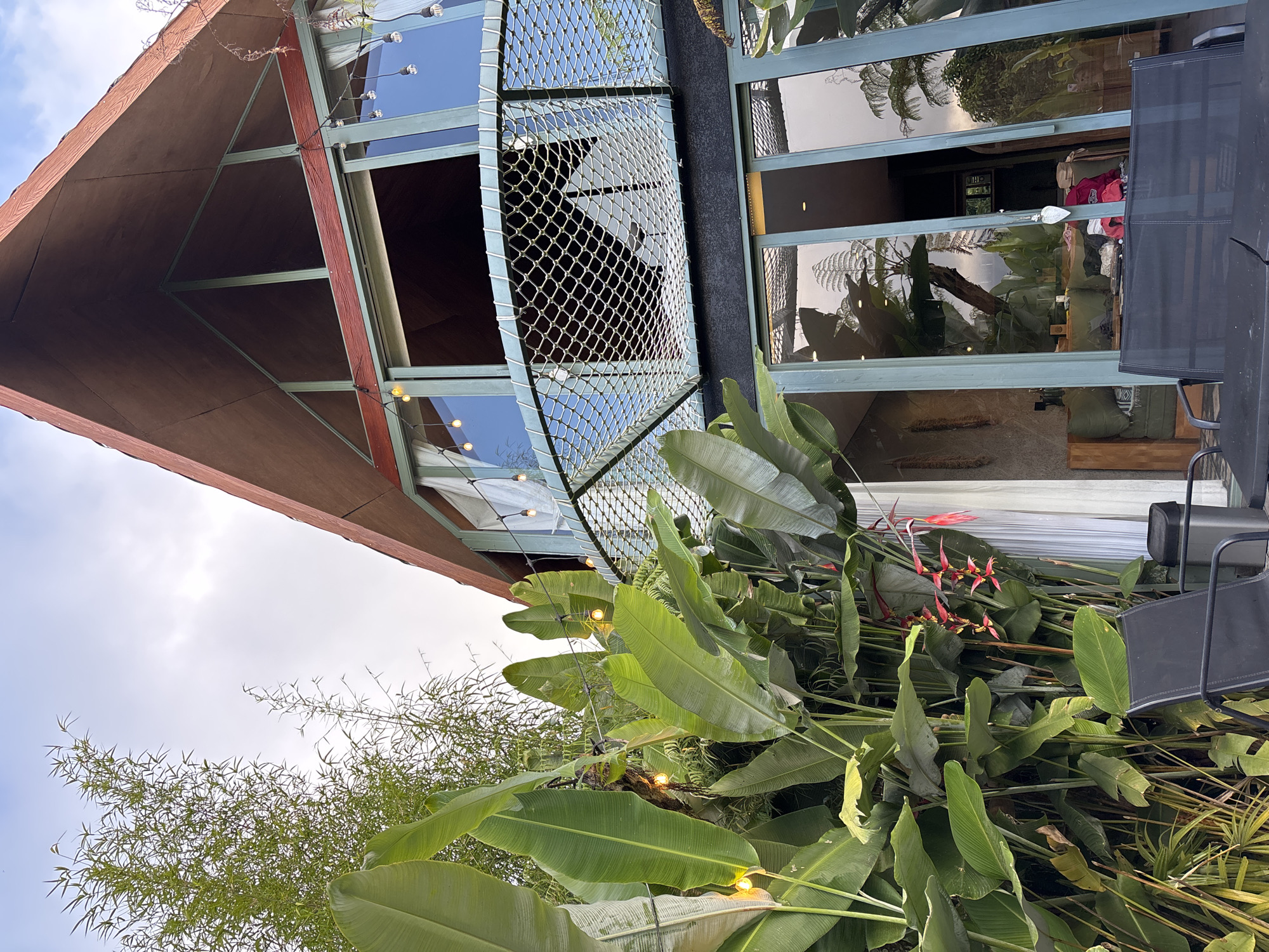 This low-angle, outdoor shot captures a modern house with a distinctive triangular roofline. The exterior features large glass windows and doors, framed by teal-colored trim. A balcony with a mesh railing overlooks a lush, green outdoor seating area. Tropical plants, including large-leafed foliage and some red and yellow flowers, dominate the foreground, with bamboo stalks reaching towards the sky on the left. String lights are visible, adding a decorative touch to the scene. The sky above is overcast. The scene is located in an outdoor area with seating and a trash can.