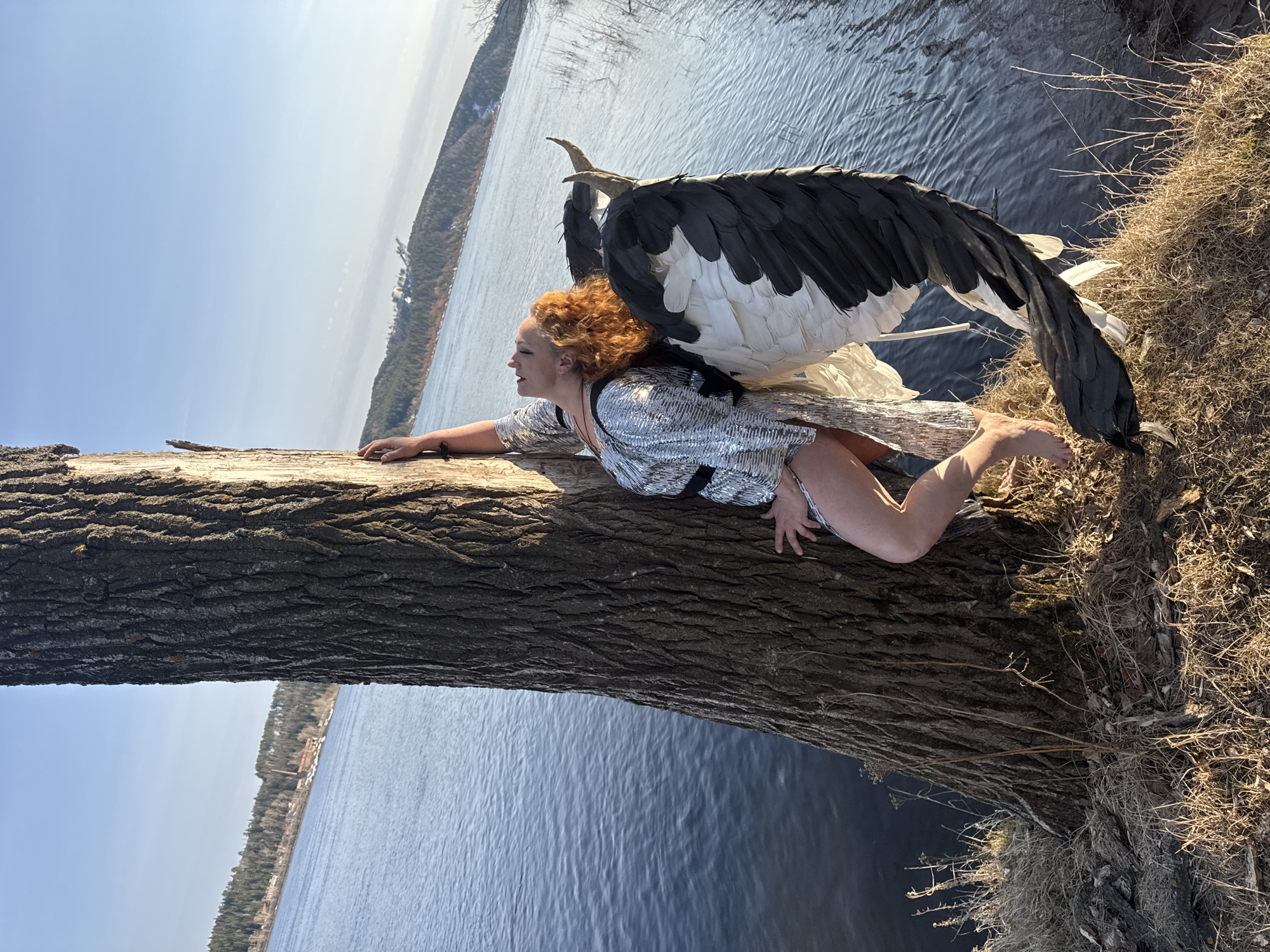A woman with red hair lies on a large tree branch over a body of water. She wears a silver, sequined dress and a large set of black and white wings is attached to her back. The lake in the background is lined with trees and buildings, likely a cityscape in the distance. The tree trunk extends out over the water and there are dried grasses and vegetation at the end of the branch. The image's angle suggests it's taken from a perspective looking up toward the woman and the environment beyond. The location is Chaikovsky, Russia.