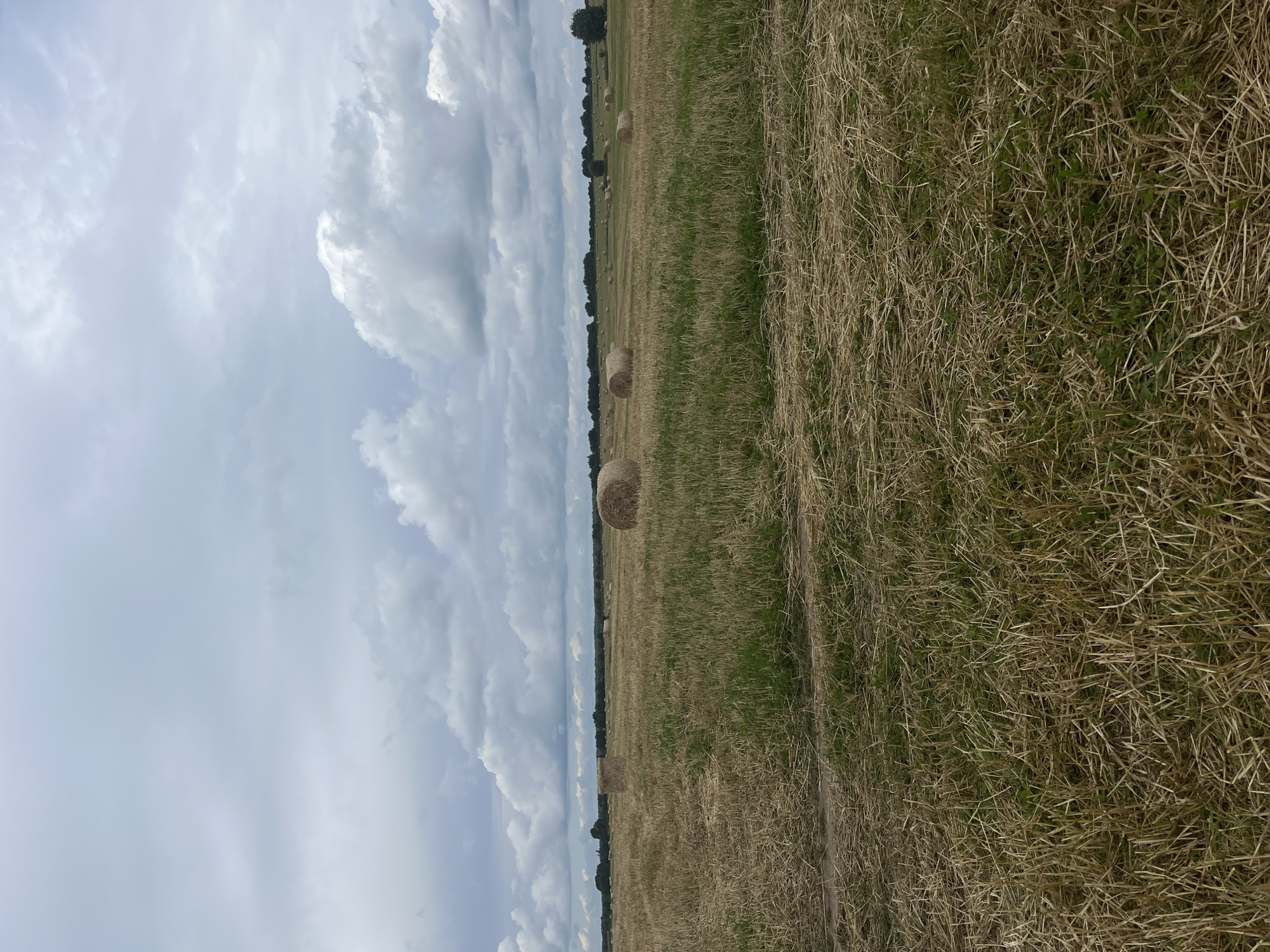 In Dyatlitsy, Russia, an overcast sky looms above a harvested field dotted with round hay bales. The field exhibits stubble from a recent harvest, interspersed with patches of green grass. In the distance, a line of trees marks the horizon. The scene is devoid of human presence.