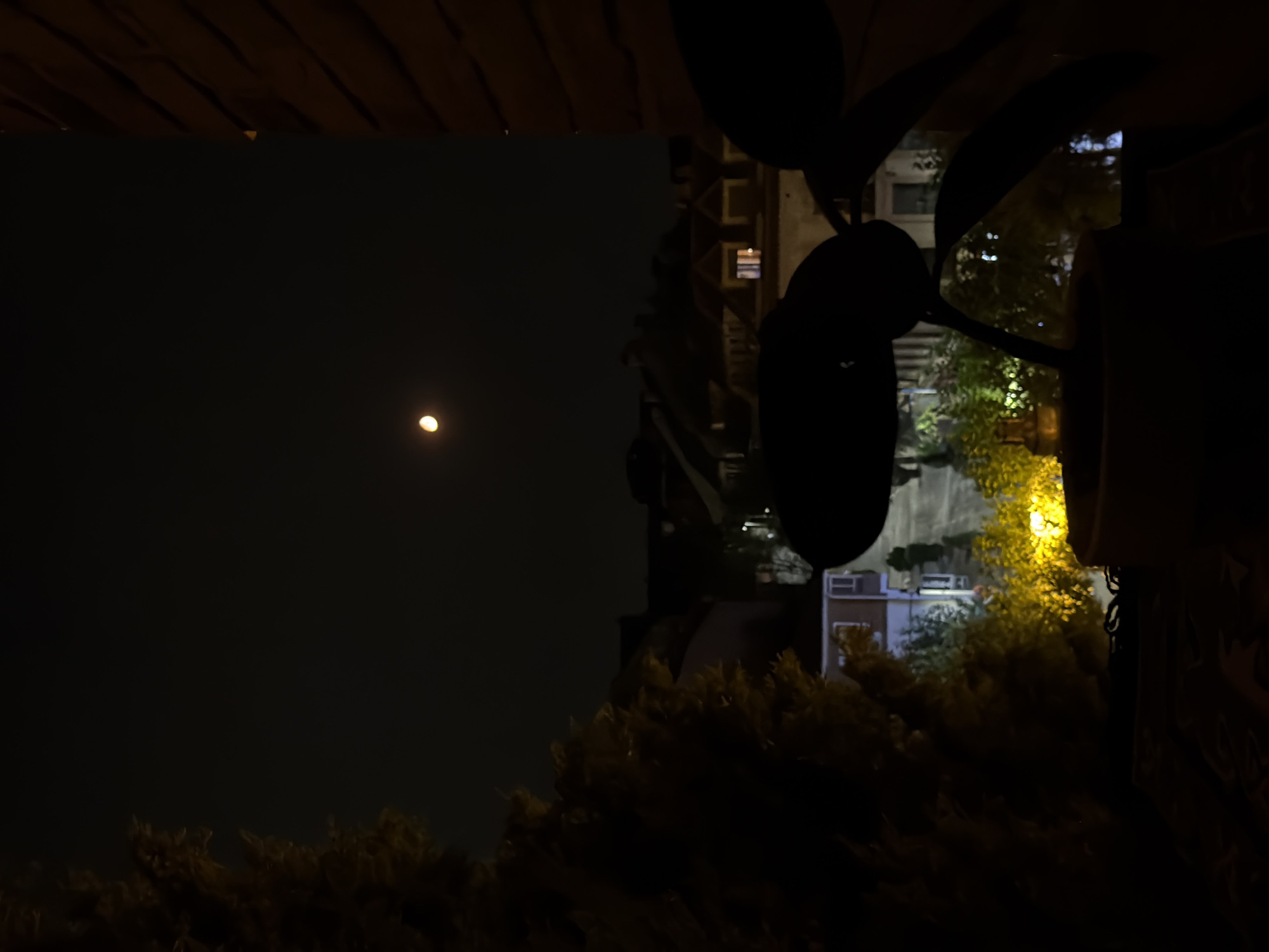 A nighttime, medium-shot photograph captures a dimly lit suburban street with houses and trees, seen from a slightly elevated perspective, possibly a balcony. The sky is dark, with a crescent moon visible in the upper center. In the foreground, silhouetted against the faint light, are the dark shapes of foliage, suggesting plants or trees, and possibly a piece of furniture. The houses in the background are illuminated by streetlights and indoor lighting, creating a warm glow on their rooftops and windows. The overall atmosphere is quiet and serene. The image does not provide enough detail to identify the specific location within Las Rozas de Madrid, Spain. There are no people visible in the image.