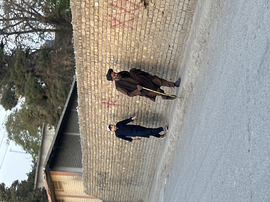 The image depicts an outdoor street scene in Quetta City Tehsil, Pakistan. Two males are present on a dirt shoulder adjacent to an asphalt road, bordered by a brick wall.
The environment consists of a light-colored brick wall running horizontally across the mid-ground, featuring red spray-painted graffiti, including a faded star-like symbol. The top of the wall is fitted with anti-climb measures, appearing as broken glass shards embedded in concrete. A narrow, unpaved dirt shoulder separates the wall from the grey asphalt road, which occupies the lower portion of the frame. In the background, behind the wall, partially visible buildings with light-colored brick facades and corrugated metal roofs are present. Trees, some with sparse foliage, and faint utility lines are visible against a hazy sky in the upper portion of the image.
An elderly male, dressed in dark brown traditional attire (shalwar kameez), walks from right to left on the dirt shoulder. He has a dark, unkempt beard and wears a dark head covering. He relies on a light-colored wooden walking stick for support, which is angled forward as he steps. He wears dark shoes.
A younger male, appearing to be a teenager or young adult, walks from left to right on the same dirt shoulder, positioned behind and to the left of the elderly man. He wears a dark blue or black shalwar kameez and a white kufi cap. His gaze is directed slightly towards the left. He wears light brown shoes with white soles.
Both individuals are walking along the shoulder parallel to the road, moving in opposite directions. The scene is illuminated by natural daylight, suggesting either early morning or late afternoon.