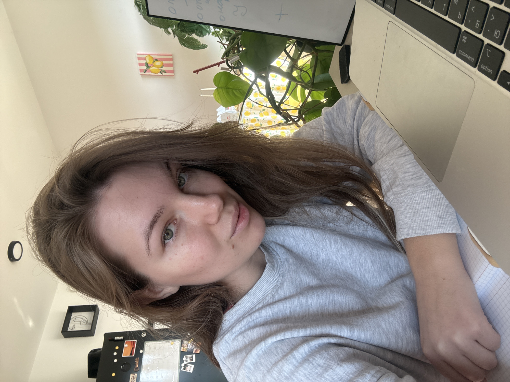 The image is a selfie of a woman with light brown hair and fair skin. She is wearing a light grey sweater. Her face is turned towards the camera, and her eyes are green. There is a laptop to the right of her, and a plant in the background behind the laptop. On the wall behind her, there is a small painting of lemons, and a whiteboard with writing on it. Below that, there is a picture frame and a refrigerator. The image appears to have been taken indoors, with natural light coming from a window. There is not enough information to determine the location in the city of Vozdovac Urban Municipality, Serbia.
