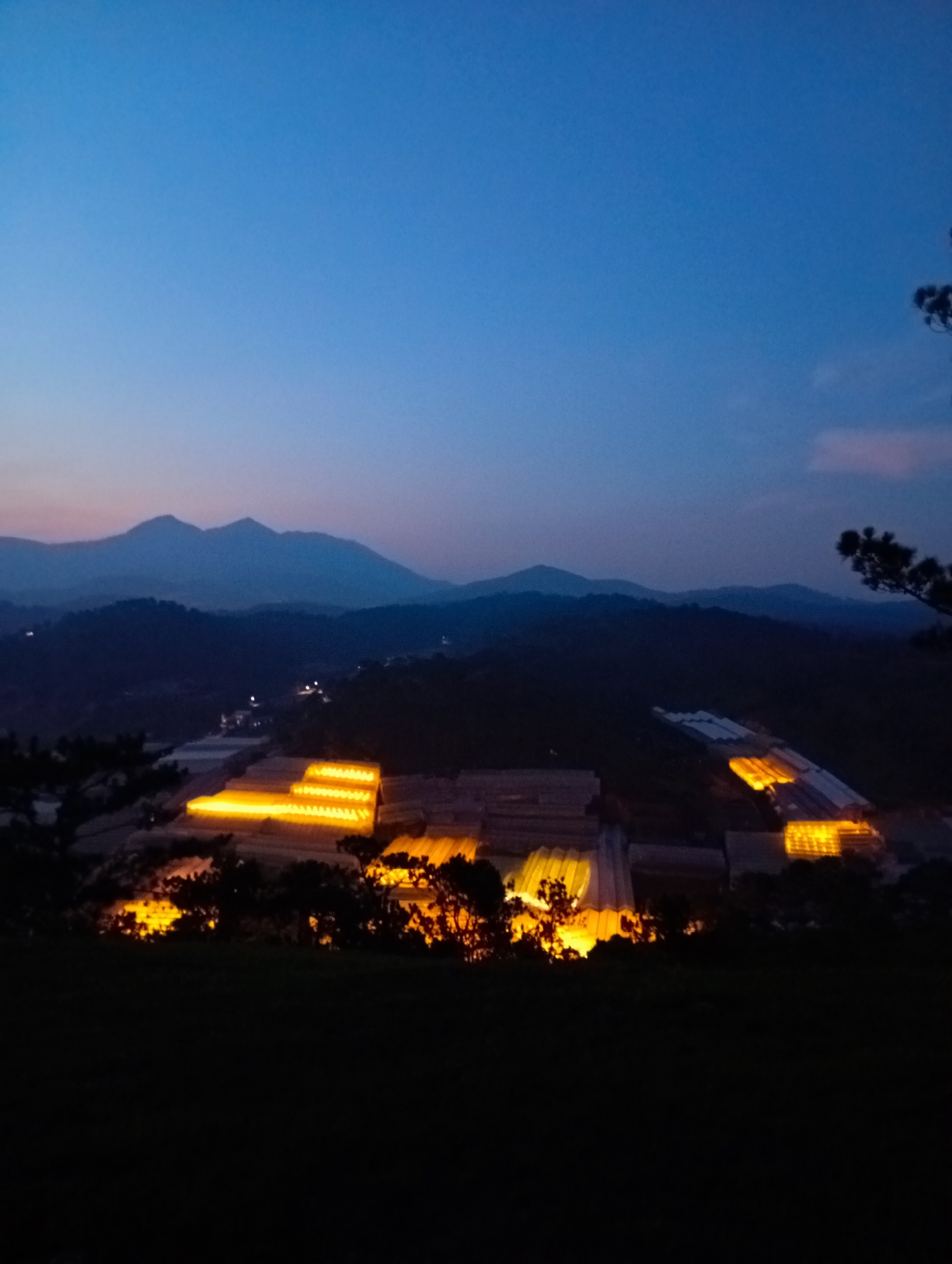 Captured at dusk in Lạc Dương, Vietnam, the image reveals an expansive view. Mountains silhouette against the blue-orange horizon. Below, illuminated greenhouses shine, their rectangular shapes broken by dark patches of vegetation. The foreground is shrouded in darkness. No people or direct interactions are visible.