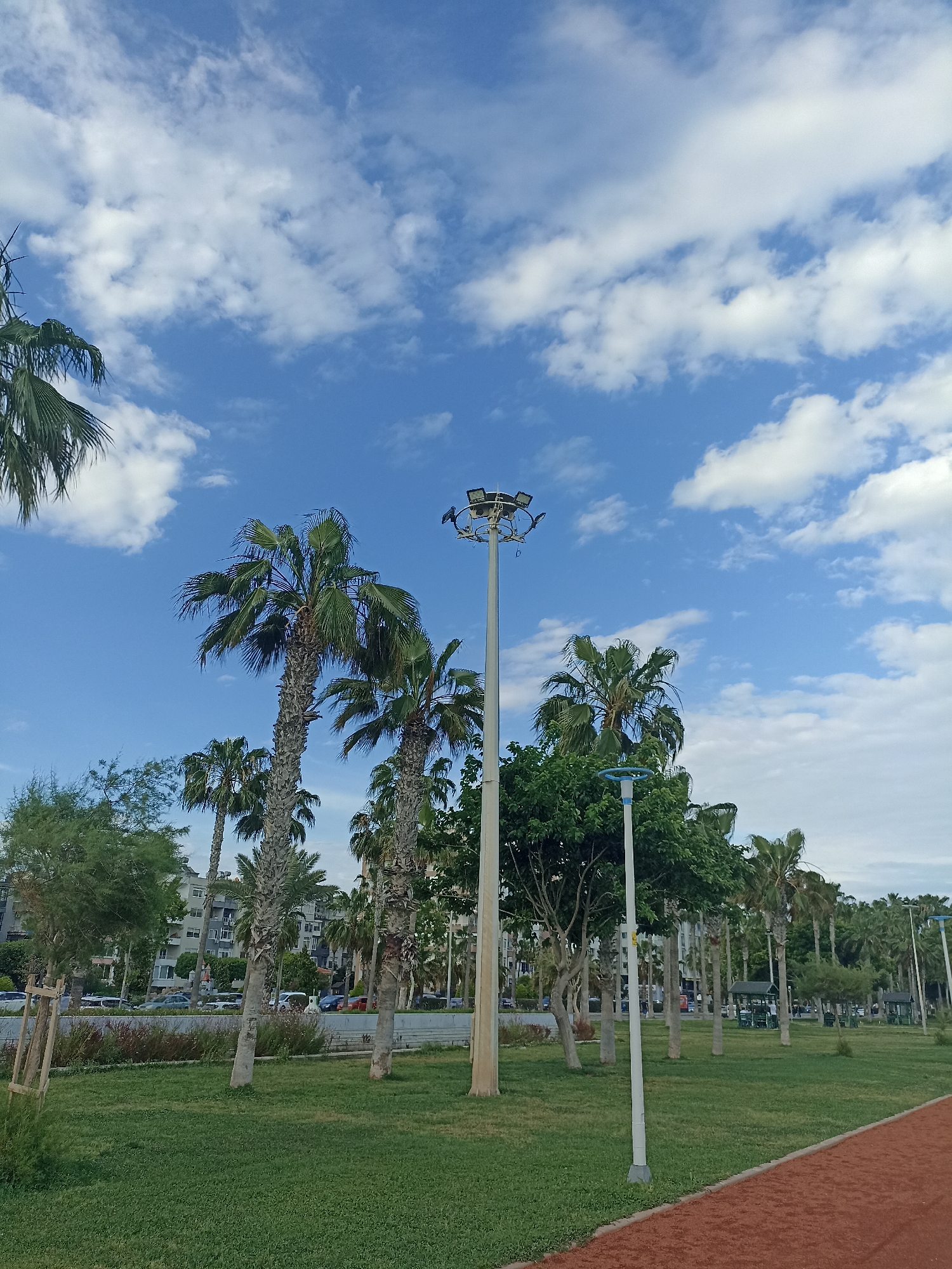 The image shows a park in Yenişehir, Turkey. Tall palm trees are scattered throughout the green lawn. The sky is blue with scattered white clouds. Two light poles stand among the trees, one with a circular arrangement of multiple lights at the top. A red jogging path borders the lawn on the right. In the background, buildings and parked cars are visible along a street.