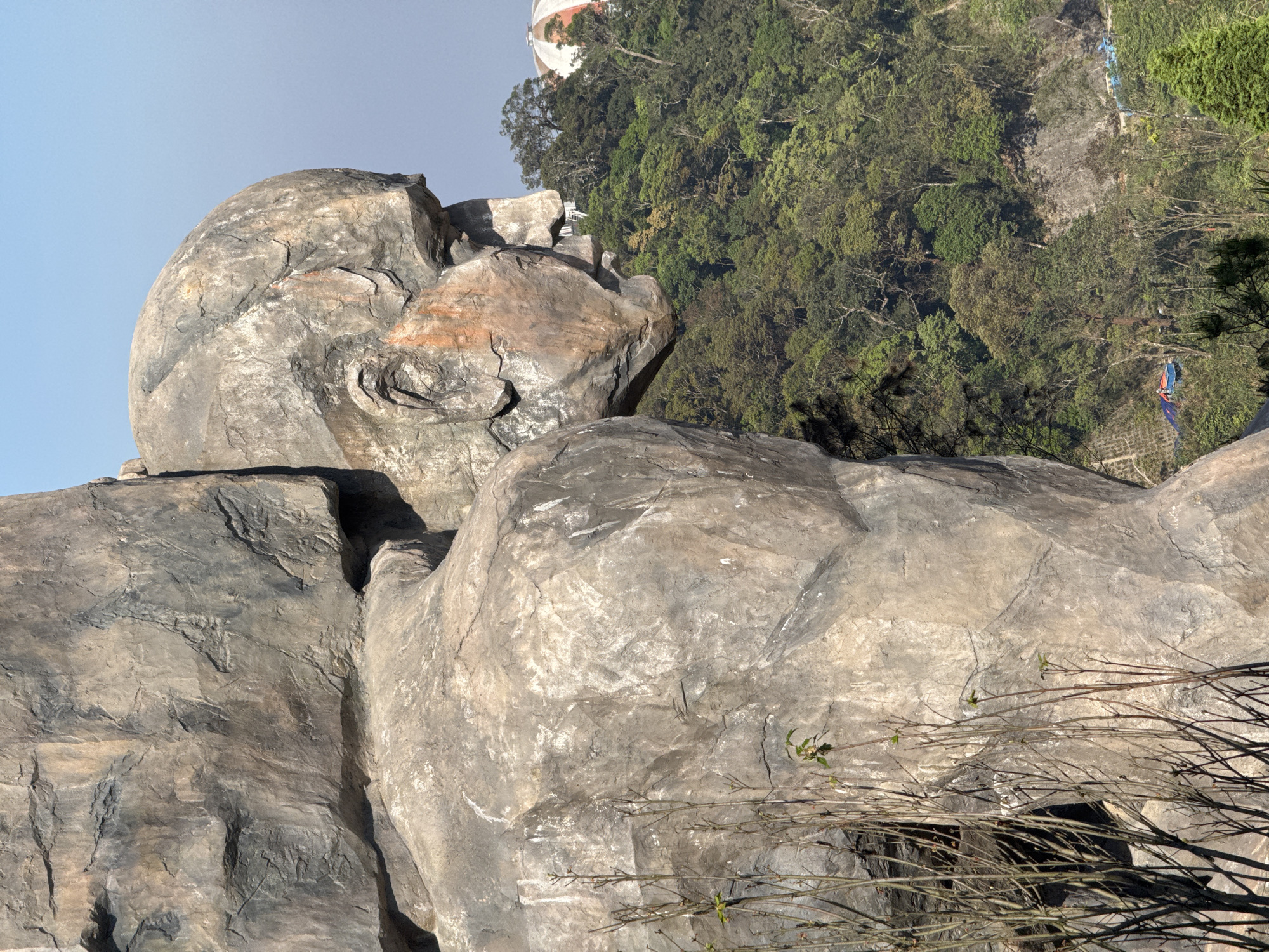 A large, weathered, grey rock sculpture dominates the foreground, depicting a human-like figure's upper torso and head in right profile. The figure carries a massive, irregular rock on its left shoulder. Its surface exhibits rock-like texture, cracks, and reddish-brown mineral staining on the face. In the midground, a dense, green forest covers a steep hillside. A partially visible, large, multi-domed building with a white base and reddish-orange patterned roof occupies a distant peak. Blue tarpaulins and a red flatbed truck are discernible on a winding path within the forest below. Bare, thin branches with sparse green leaves are in the immediate foreground, left. The sky above is clear and light blue. This scene is located within Sun World Ba Na Hills, a resort west of Đà Nẵng, Vietnam.