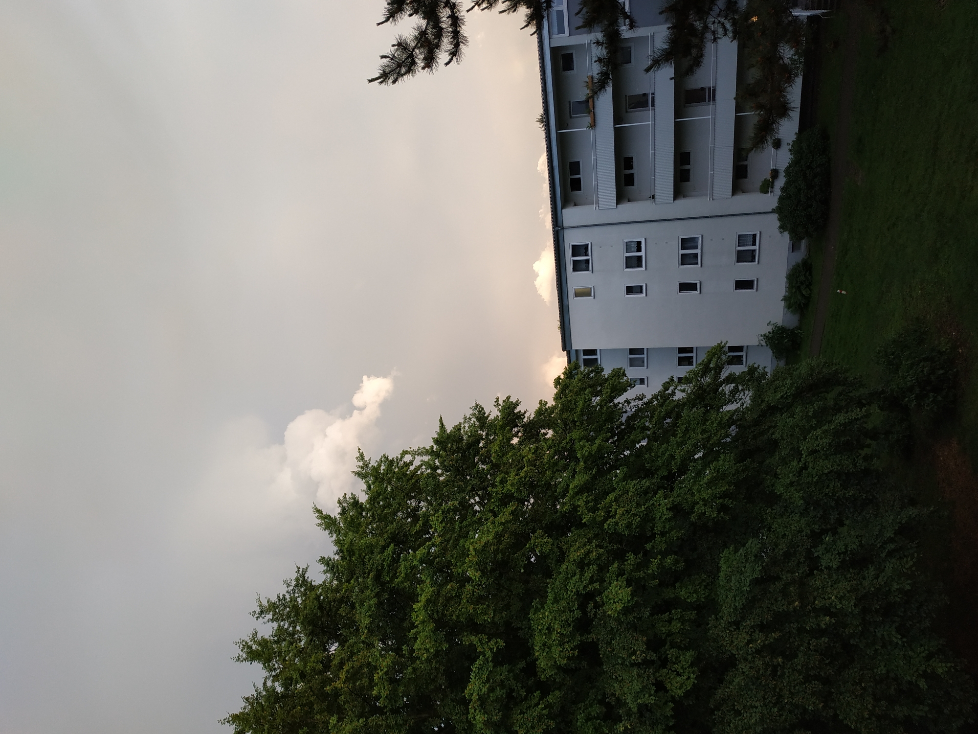 The image shows a multi-story building in an urban environment. The building is light gray with multiple windows and balconies. To the left of the building, a large tree with dense green foliage fills the lower portion of the frame. Above the tree, the sky is overcast, with some areas appearing brighter than others, suggesting the presence of sunlight filtering through the clouds. A few pine branches are visible at the top of the frame. A patch of grass is visible to the right of the building.
