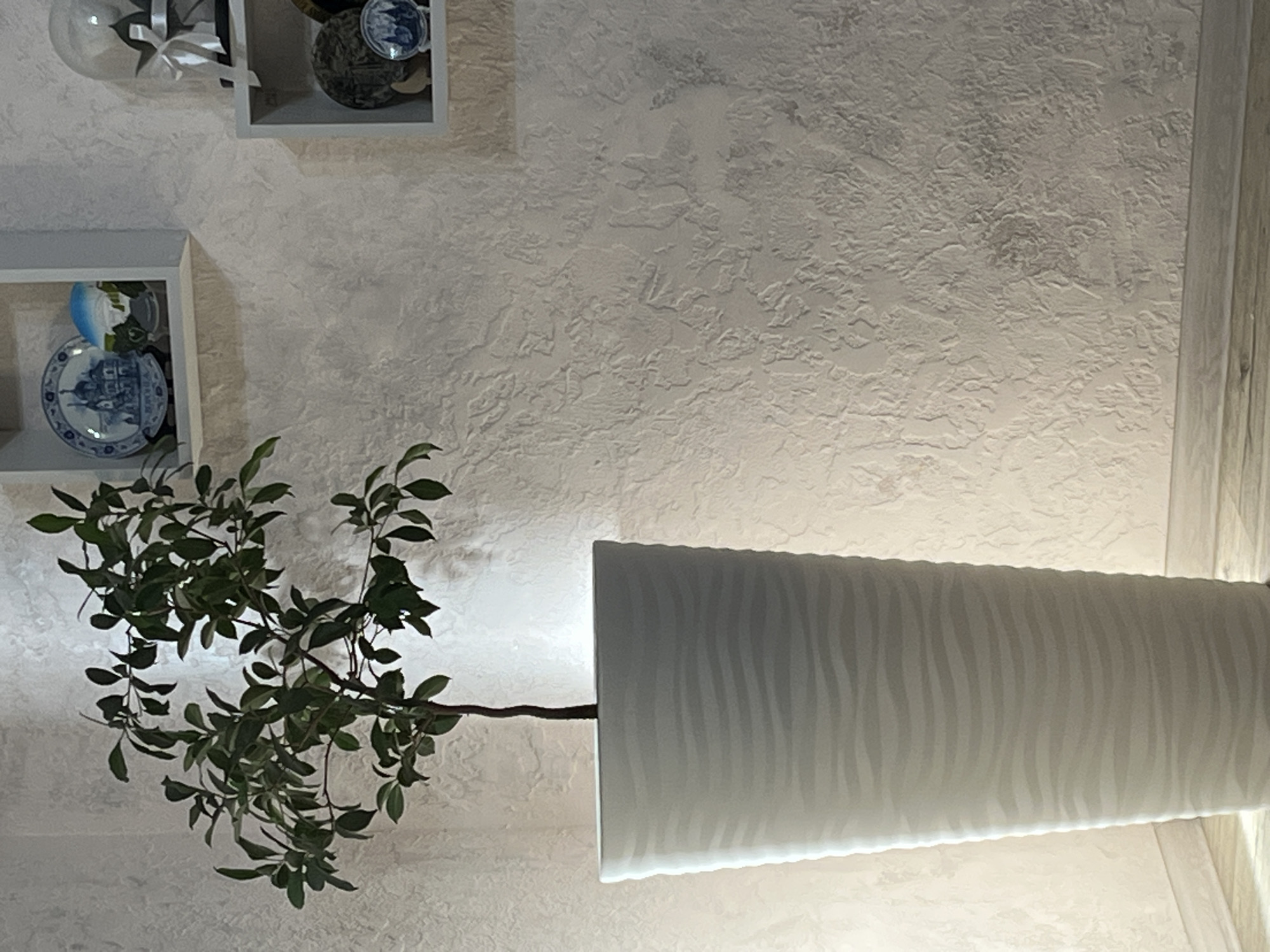 This media file captures an indoor scene featuring decorative elements and a plant against a textured wall. In the upper left corner, a white square shelf holds a glass sphere with ribbon, and next to it, another shelf contains decorative plates, one with a blue and white pattern depicting a building, and another globe-like object. Below these, a similar white square shelf displays a blue and white plate with a building motif and a small globe.
In the foreground, a branch with lush green leaves extends from the left, its stem reaching towards a horizontally positioned, rectangular lamp shade. The lamp shade is white with a wavy, ribbed texture that diffuses the light emanating from within, casting a soft glow on the textured wall. The wall itself has a rough, stucco-like finish in a light, neutral color.
The scene appears to be set in a domestic or decorative space, likely a living room or dining area, given the display shelves and the ambient lighting. The lighting suggests it might be evening or a dimly lit interior. There are no people visible, and the overall mood is calm and decorative. There is no visible text in the image. The implied location is Krasnyye Barrikady, Russia.