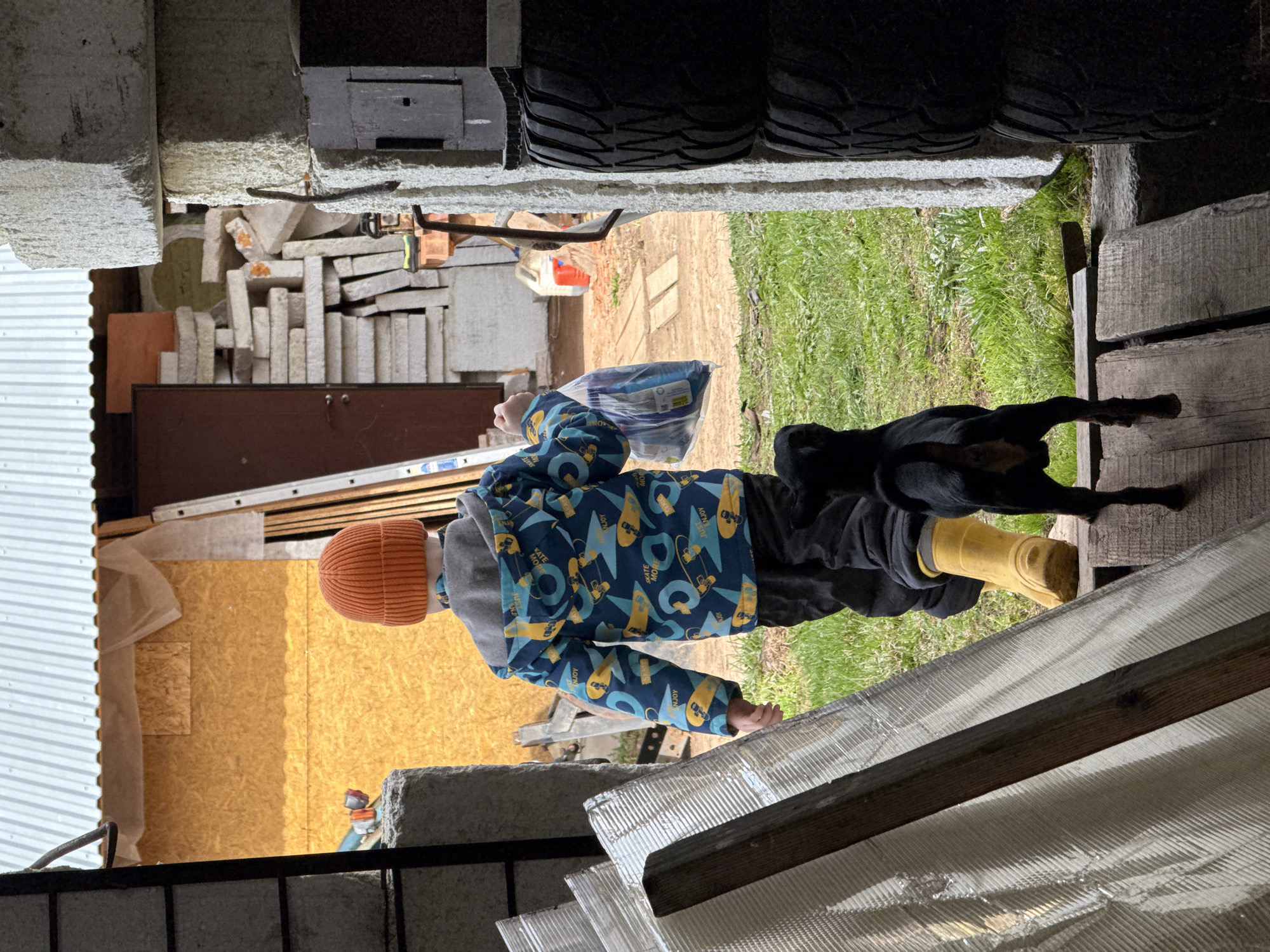 A child in an orange beanie, blue jacket with a skateboard motif, black pants, and yellow boots is seen walking through a partially constructed or dilapidated building. They are carrying a blue and white plastic bag. A black dog is visible near the child, near a grass area. The background includes construction materials, unfinished walls, and grassy terrain, viewed under a structure covered by transparent corrugated plastic sheets. The image's perspective suggests it was taken from within the enclosed space. There is a ladder propped against plywood in the background. Based on the provided information, the location is identified as Nizhnyaya Chermoda, Russia.