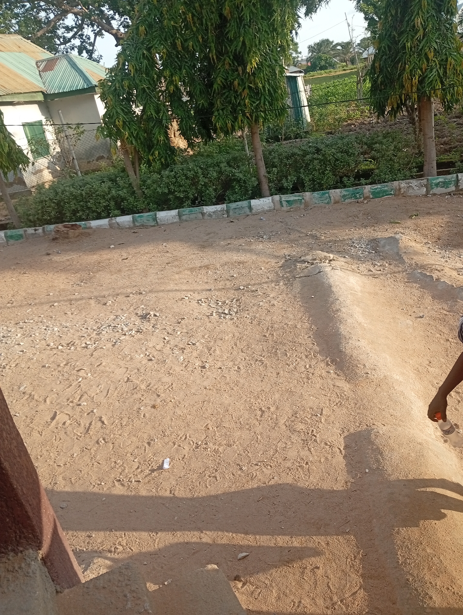 The image depicts an outdoor scene in Jalingo, Nigeria, likely a residential area or a school compound. In the background, two white buildings with green and corrugated iron roofs are visible, partially obscured by lush green foliage. A chain-link fence runs along the front of the buildings. Several tall trees with feathery leaves are scattered throughout the scene, casting long shadows on the sandy ground. In the foreground, a person's arm and hand are visible, holding a clear plastic bottle with a white cap, with an orange label. The ground is composed of sand and small stones, with some scattered debris. A low, decorative border made of concrete blocks painted with green and white stripes runs along the edge of the sandy area. The overall impression is of a warm, sunny day in a tropical or sub-tropical environment.