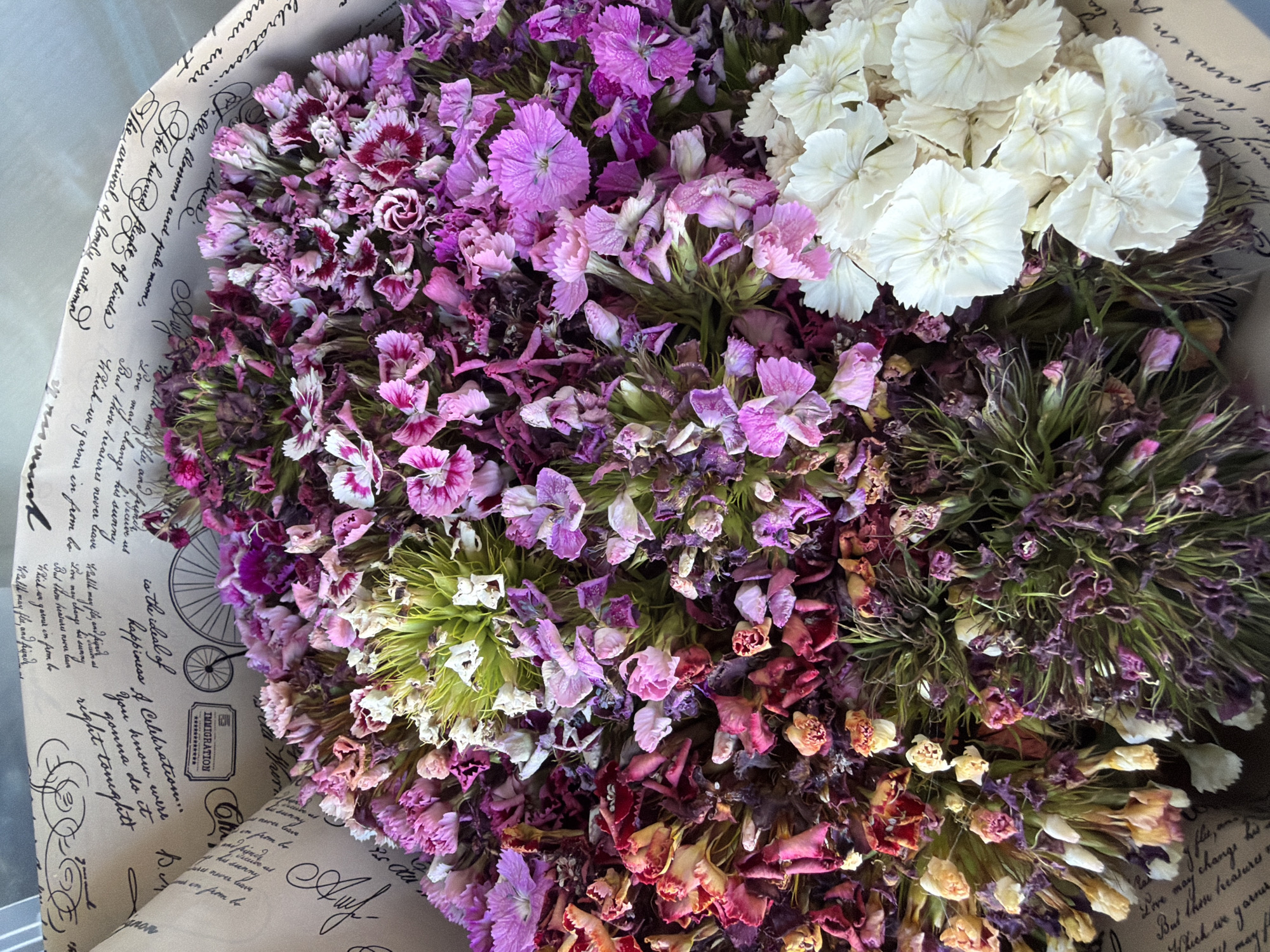 A close-up, top-down view of a bouquet of dried flowers is presented. The flowers exhibit a variety of colors including shades of pink, purple, white, and a yellowish-orange hue. The petals are delicate and some appear curled or slightly browned, indicating they are no longer fresh. The bouquet is arranged in a rustic paper wrapping that is adorned with handwritten script and a small illustration of a bicycle. The background is not clearly defined, but appears to be a flat surface. There are no people or animals visible in the image, and no specific city or location is depicted.