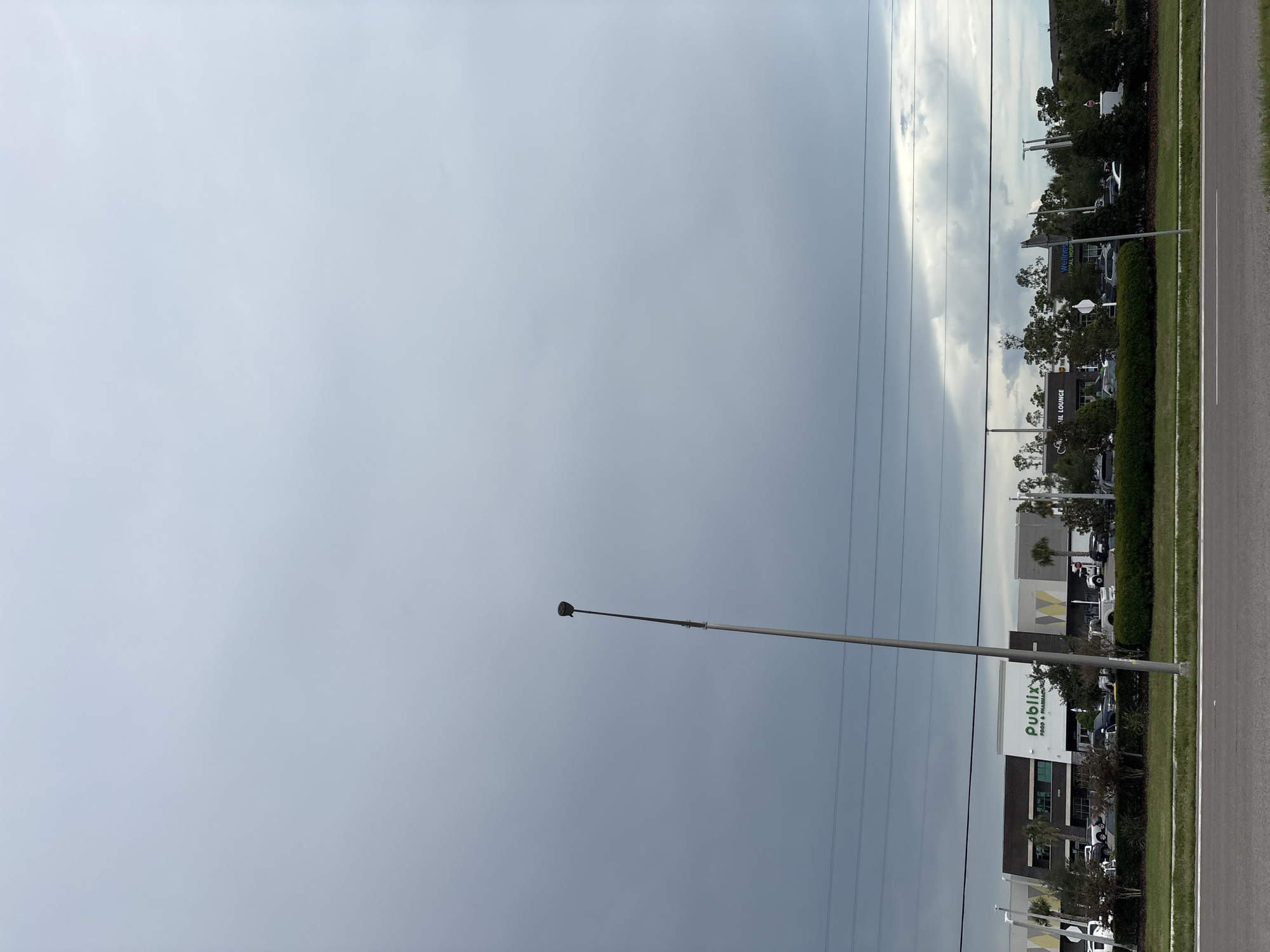 A streetlamp stands tall in the foreground, its slender pole reaching towards a vast, overcast sky. In the mid-ground, a low-lying commercial building stretches across the frame, identified by the prominent "Publix FOOD & PHARMACY" signage. Other businesses, including what appears to be a nail salon and an animal hospital, are also visible along the strip. A dense line of trees and manicured hedges separates the building from the road. Power lines crisscross the sky above the building. The overall scene suggests an overcast day in a suburban or commercial area. The presence of the Publix grocery store indicates a likely location in Florida, given the brand's prevalence in the state.