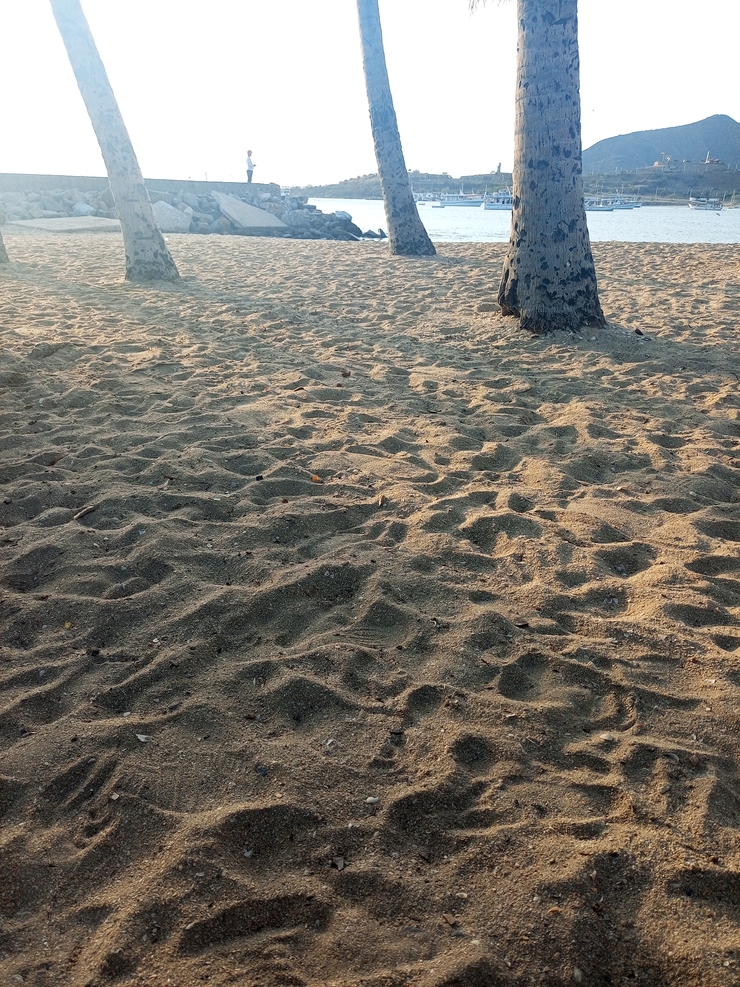 The image shows a sandy beach with palm trees in Juan Griego, Venezuela. In the background, a person is standing on a stone breakwater with boats in the water. A mountain is visible in the far distance. The foreground is primarily textured sand.