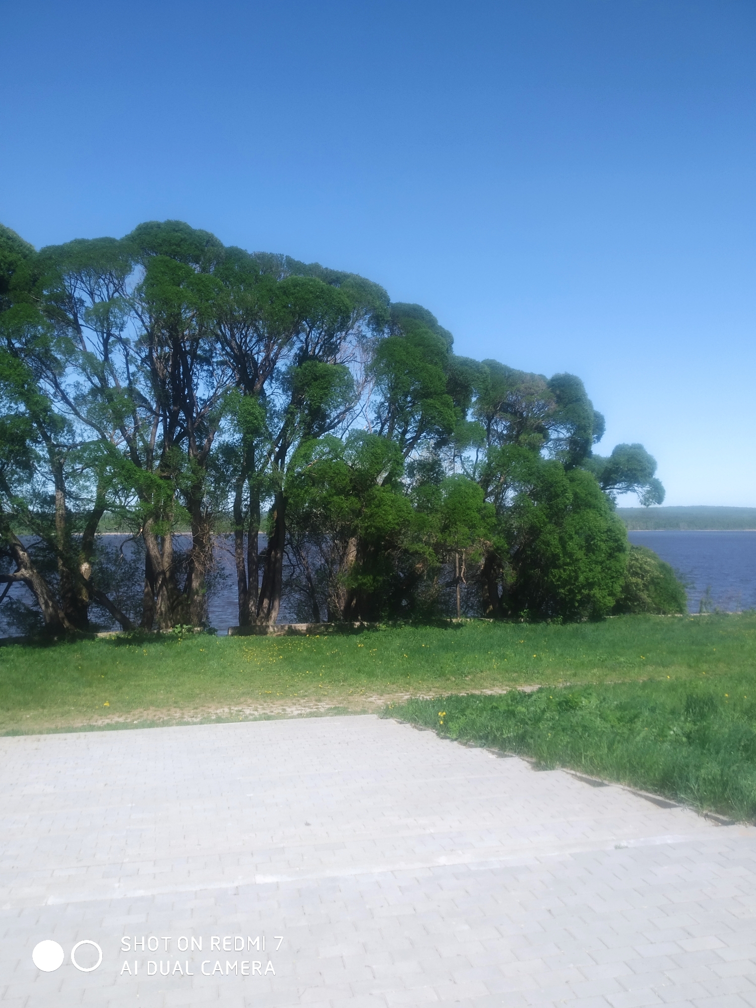 The image depicts a view of the Kama River in Ochansk, Russia. In the foreground, there is a paved area made of light gray brick. Beyond the paved area is a grassy lawn with scattered yellow flowers. A line of trees with dense green foliage separates the lawn from the river. The Kama River is visible in the background, with a dark blue-gray surface. The sky is clear and bright blue. The bottom left corner of the image includes a "SHOT ON REDMI 7 AI DUAL CAMERA" watermark.