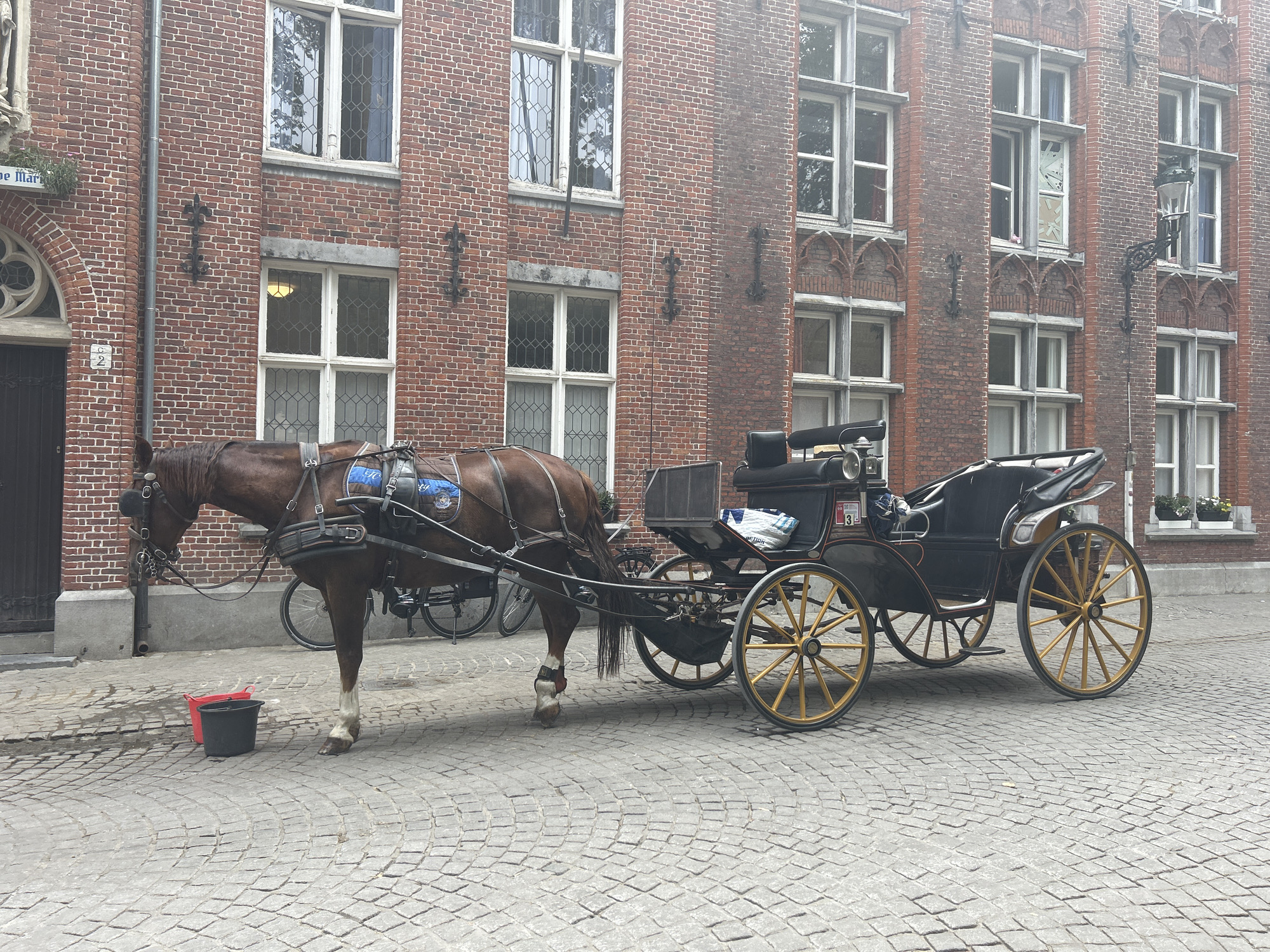 A horse-drawn carriage is parked on a cobblestone street in front of a brick building. The horse is brown with a black mane and tail. It is wearing a harness and bridle. The carriage is black with yellow wheels. There are two buckets on the street near the horse, one red and one black. The building has several windows with ornate frames. The sky is overcast.