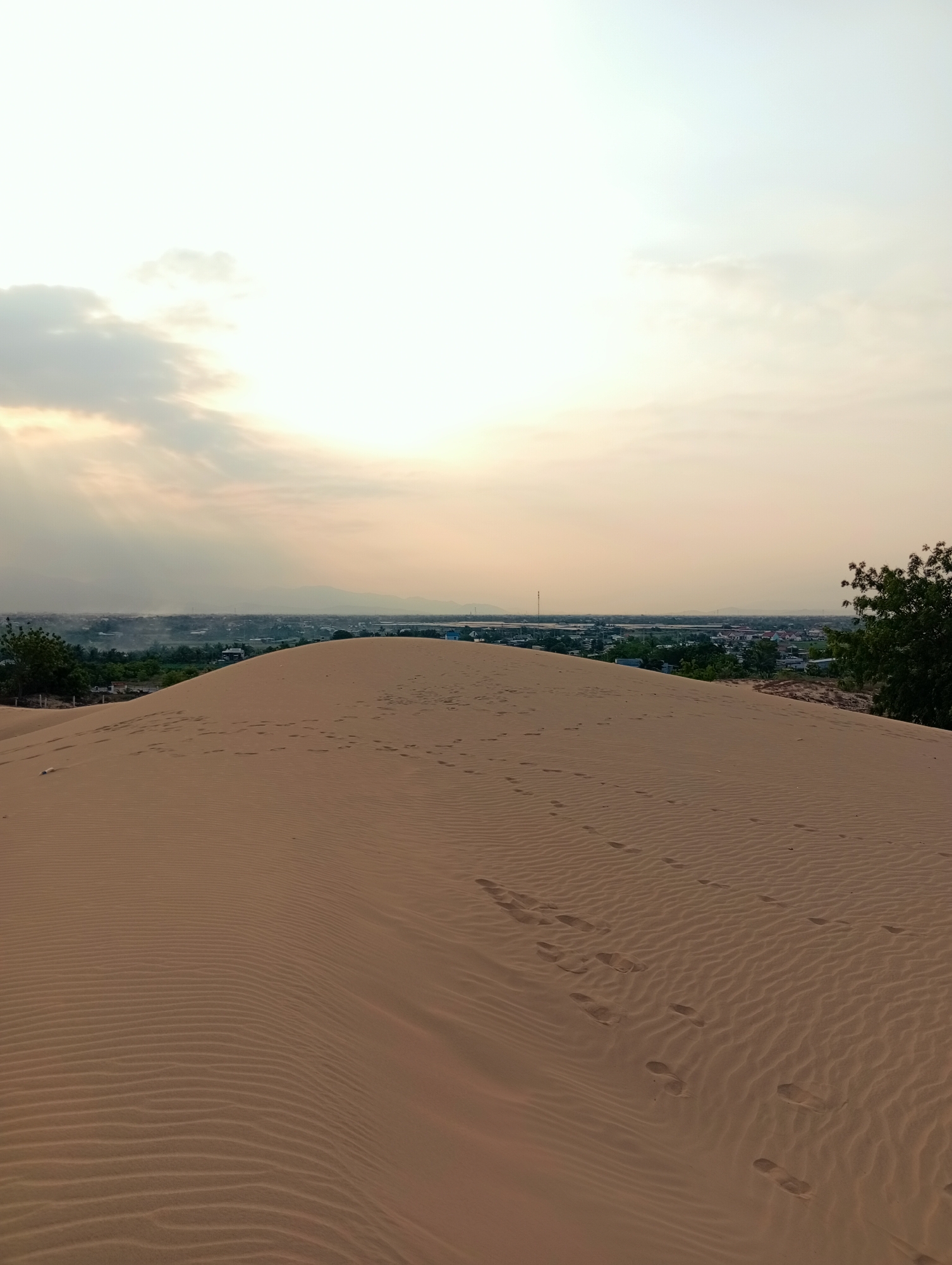 The image captures a sand dune in Phuoc Dinh, Vietnam, marked with numerous footprints. The dunes exhibit a rippled texture. In the distance, a cityscape is visible, partially obscured by a haze or dust. Vegetation borders the dune on the right. The sky is overcast, with the sun creating a diffused light effect.