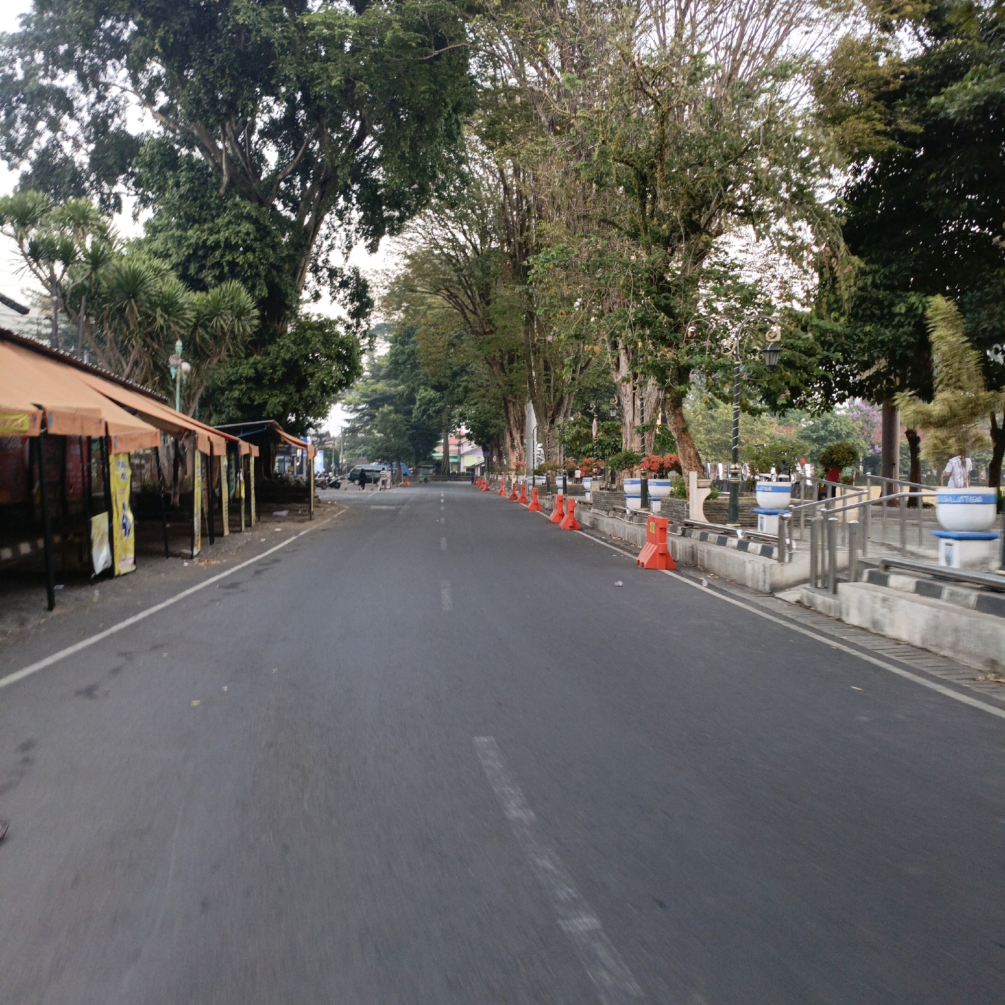 The image depicts a street scene in Salatiga, Indonesia, with a focus on the road and its surrounding environment. On the left side of the road, several orange-roofed stalls or small shops are set up along the sidewalk, with visible signage and some items for sale. The road itself is asphalt, with a white line marking the lane division. Orange traffic cones are placed along the right side of the road, suggesting a temporary lane closure or traffic management. Beyond the cones, there is a concrete barrier with metal railings, separating the road from a landscaped area. This area features planters with flowers and decorative elements, as well as trees and streetlights. In the background, more trees line the street, creating a green canopy. There are a few vehicles, including motorcycles and a van, and at least one person walking in the distance on the right side of the road. The overall impression is a moderately busy urban street with elements of commerce and public space.