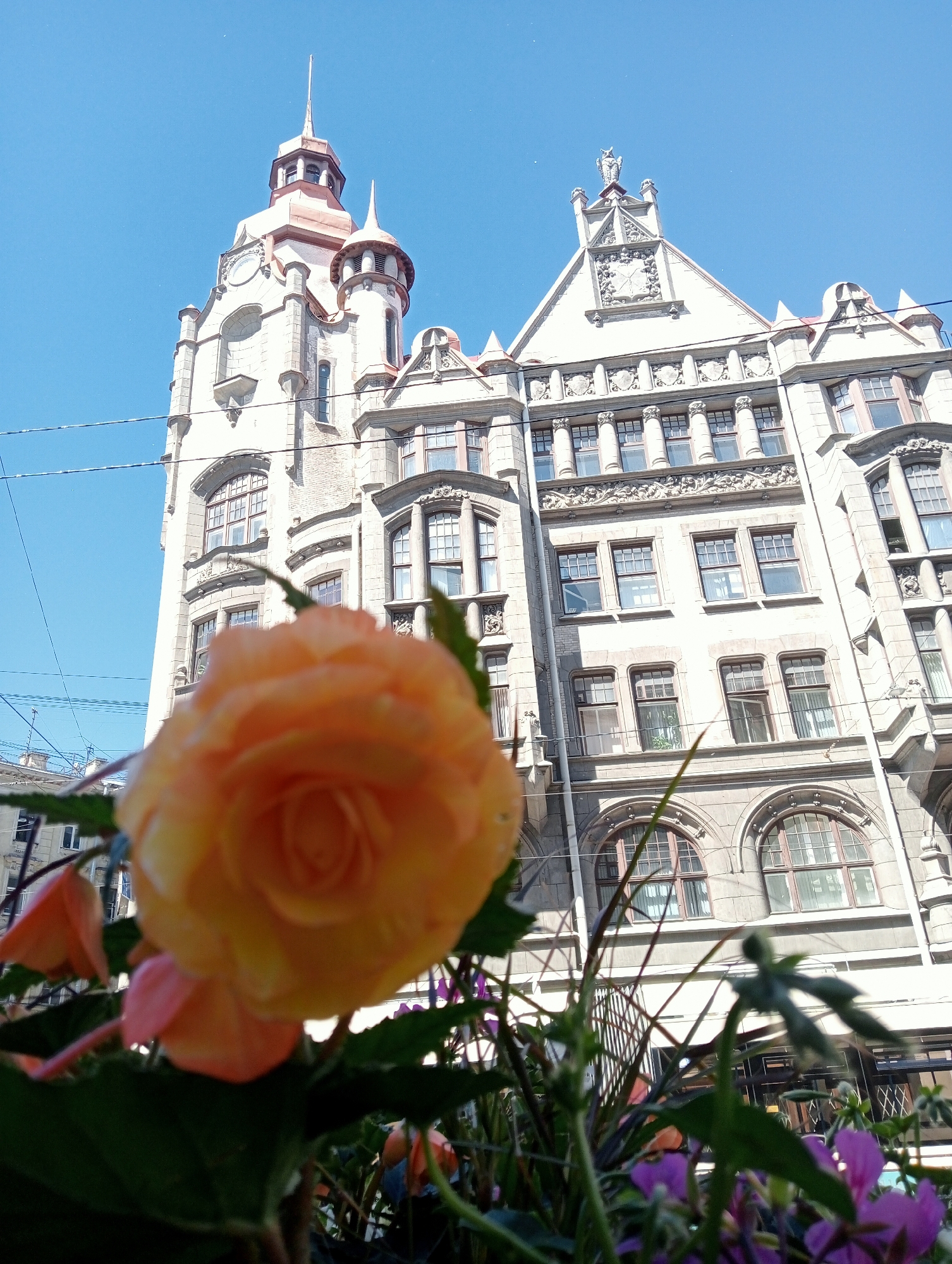 An orange begonia flower in the foreground is blurred and out of focus, with the green leaves and other pink flowers behind it also out of focus. Behind the flowers, the ornate facade of a historical building in Saint Petersburg, Russia, is visible against a bright blue sky. The building is made of stone and features intricate architectural details, including arched windows, decorative carvings, and spires. Power lines are visible crisscrossing the sky in front of the building. The image is taken from a low angle, looking upwards towards the building.