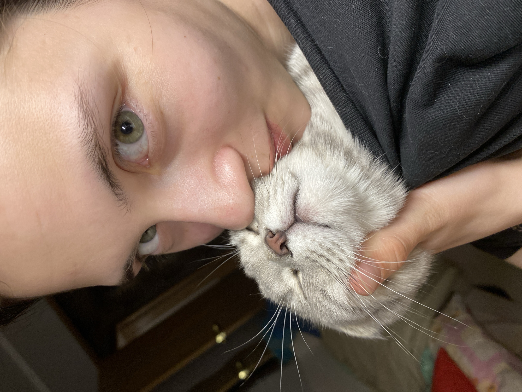 A person with fair skin and green eyes is holding a grey and white cat close to their face. The person's nose is touching the cat's nose. The person is wearing a black top. The cat appears to be relaxed with its eyes closed. The background is blurred and indistinct. There is no information to support that this image was taken in Votkinsk, Russia.