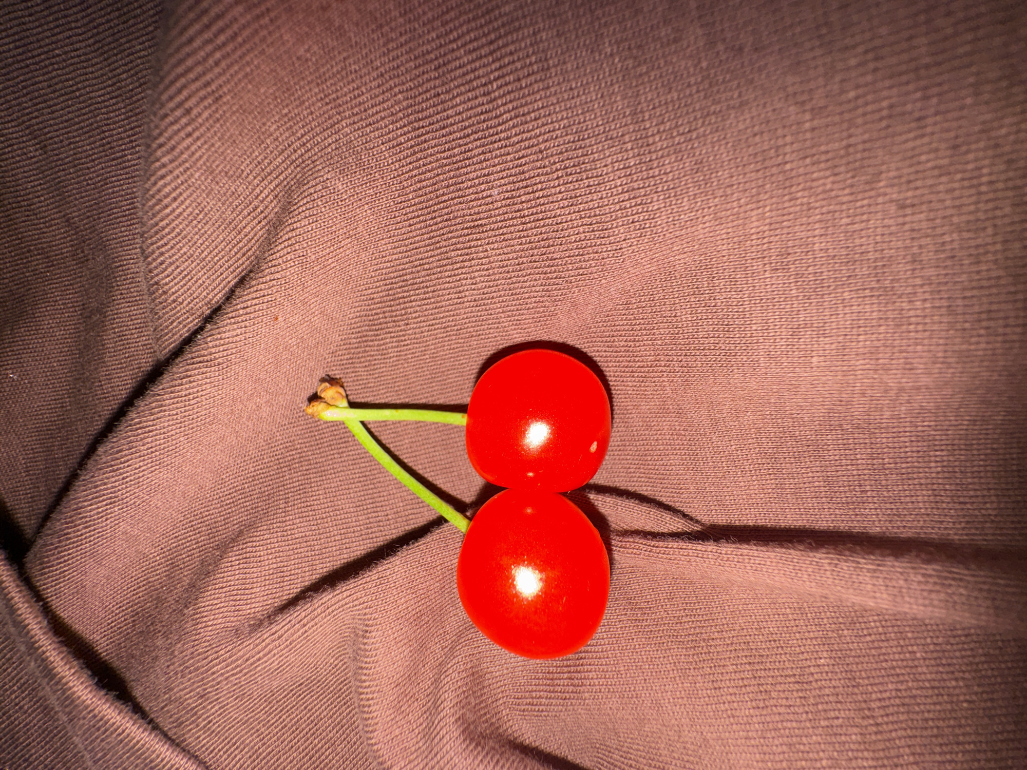 The scene, located in the city of Ohuivka, Ukraine, depicts two glossy, spherical red objects resembling cherries, connected by two thin, light green stems. These stems converge into a short, brownish-orange segment at their point of origin. The objects rest upon a textured fabric surface, which is a muted brownish-pink color and exhibits distinct vertical ribbing. The fabric is draped, forming folds that create areas of shadow. A localized light source illuminates the scene from the upper left, producing prominent specular highlights on the surface of each red sphere and casting soft shadows across the textured fabric. No human presence or actions are discernible.