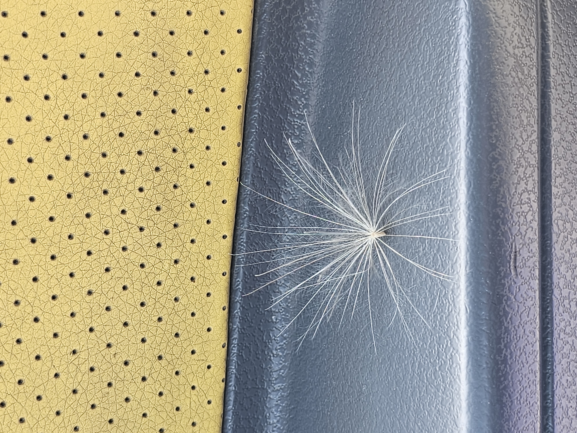 The image shows a close-up of a dandelion seed head resting on a dark gray textured surface. Above this surface, there is a yellow perforated material. The dandelion seed is white and feathery, with many fine filaments radiating from a central point. The background surfaces are textured, with the yellow material having a pattern of small, dark circular perforations. The scene appears to be outdoors, possibly on a vehicle or outdoor furniture, given the textures and perforations. There are no people or animals visible in the image. The location in Özgön, Kyrgyzstan, is not discernible from the visual information provided.