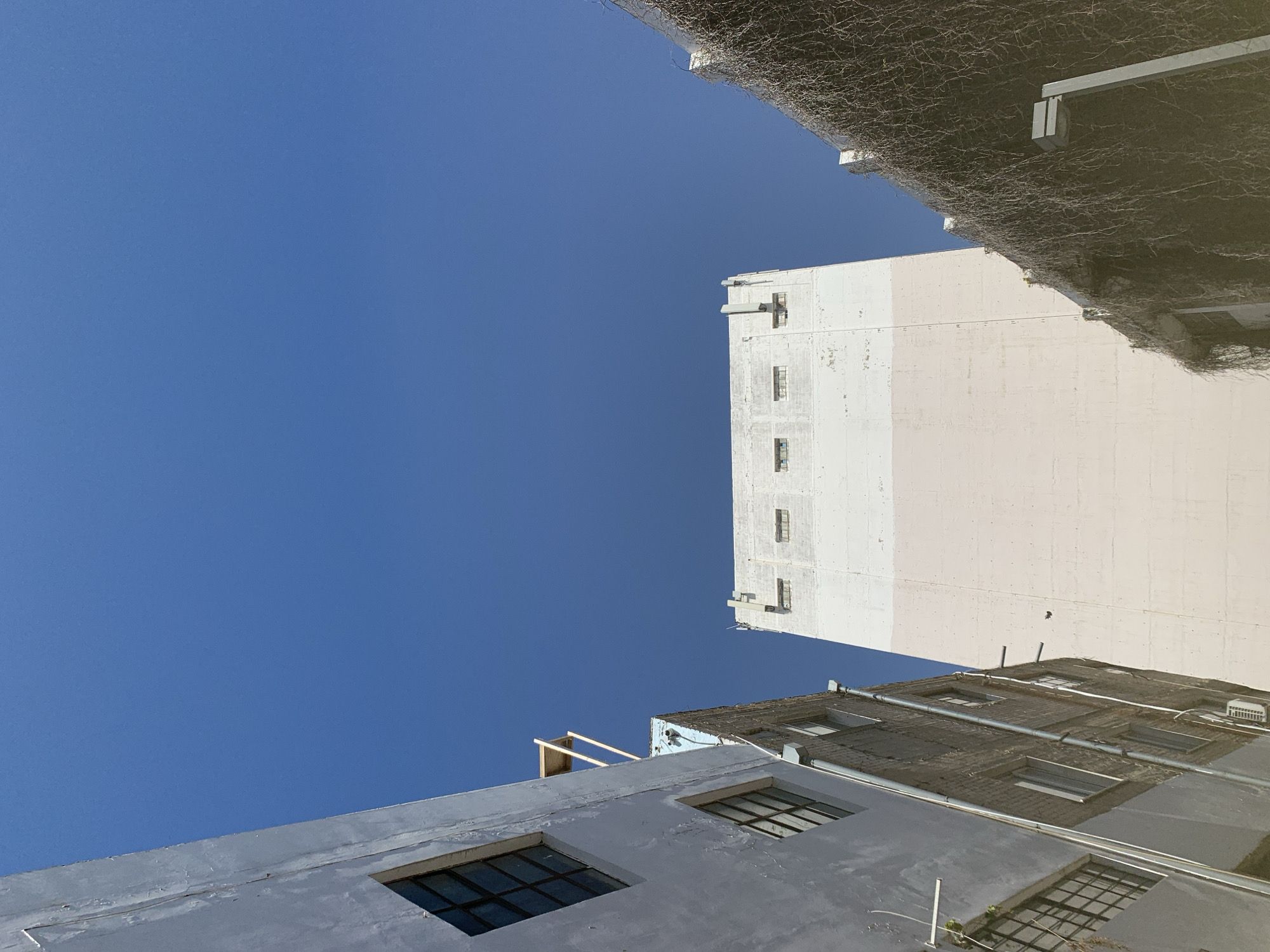 The image presents a low-angle, upward-looking view within a narrow urban passage, under a clear, vibrant blue sky.
At the center stands a tall, rectangular industrial-style building. Its upper two-thirds are painted white, while the lower third is a pale beige or light pink. Near the top of the white section, a series of small, recessed rectangular windows are visible. The building's concrete facade displays signs of weathering.
On the left, a multi-story building with a light gray painted exterior is partially visible. It features several windows; prominent are a diamond-shaped window and multiple rectangular windows with dark frames. A metallic downspout runs vertically down its side. Below this, a section of a brick-faced building is visible, equipped with smaller rectangular windows and an external air conditioning unit. A light-colored wooden structure, possibly scaffolding or a rooftop fixture, extends upwards from the building complex on the left.
On the right, a building facade is almost entirely obscured by a dense growth of dry, brownish-green vines or creepers. A modern, dark gray street lamp with a rectangular fixture is positioned in the lower right, partially hidden by the foliage.
The upper portion of the image is dominated by an unblemished, deep blue sky. There are no individuals, animals, or discernible activities taking place within the frame. The scene is located in an older urban or industrial district of Tel-Aviv, Israel, characterized by the mixed architectural styles and the presence of overgrown facades.