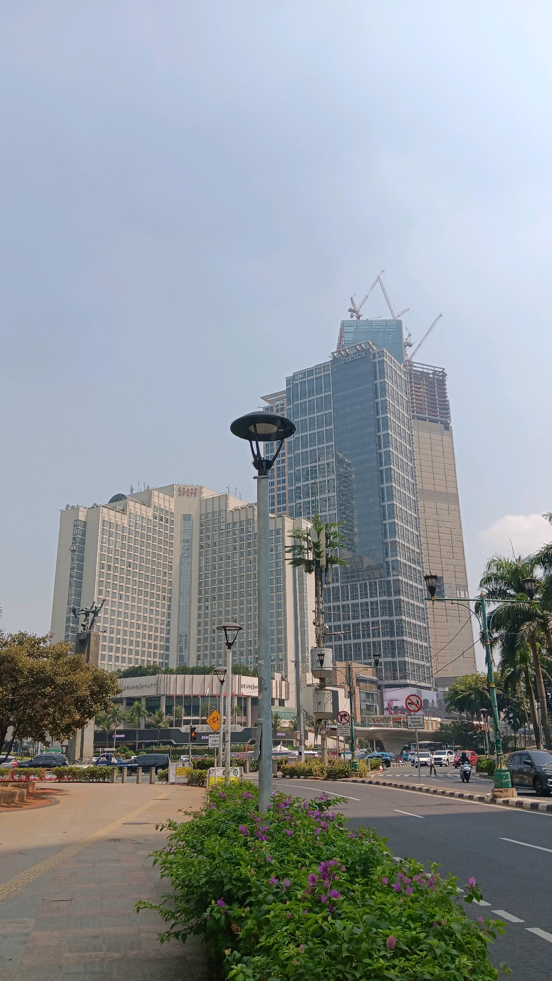 This is a vertical, eye-level, outdoor shot of a cityscape in Central Jakarta, Indonesia, taken on a clear day. The scene is dominated by two large, modern buildings. The building on the left is the Grand Hyatt, a light-colored, multi-story structure with a grid of windows. To its right is a taller, modern skyscraper under construction, with visible cranes at its peak and a glass facade. The skyscraper has signage that reads "The Plaza." In the foreground, a sidewalk runs along the left side of a street. A row of lush green bushes with small purple flowers borders the sidewalk and the street. A tall lamppost with multiple fixtures stands prominently on the sidewalk. Palm trees are visible to the right of the buildings and along the street. The street itself has multiple lanes of traffic, with cars and motorcycles. There are various traffic signs and pedestrian crossings. The overall impression is one of urban development and activity in a commercial district.