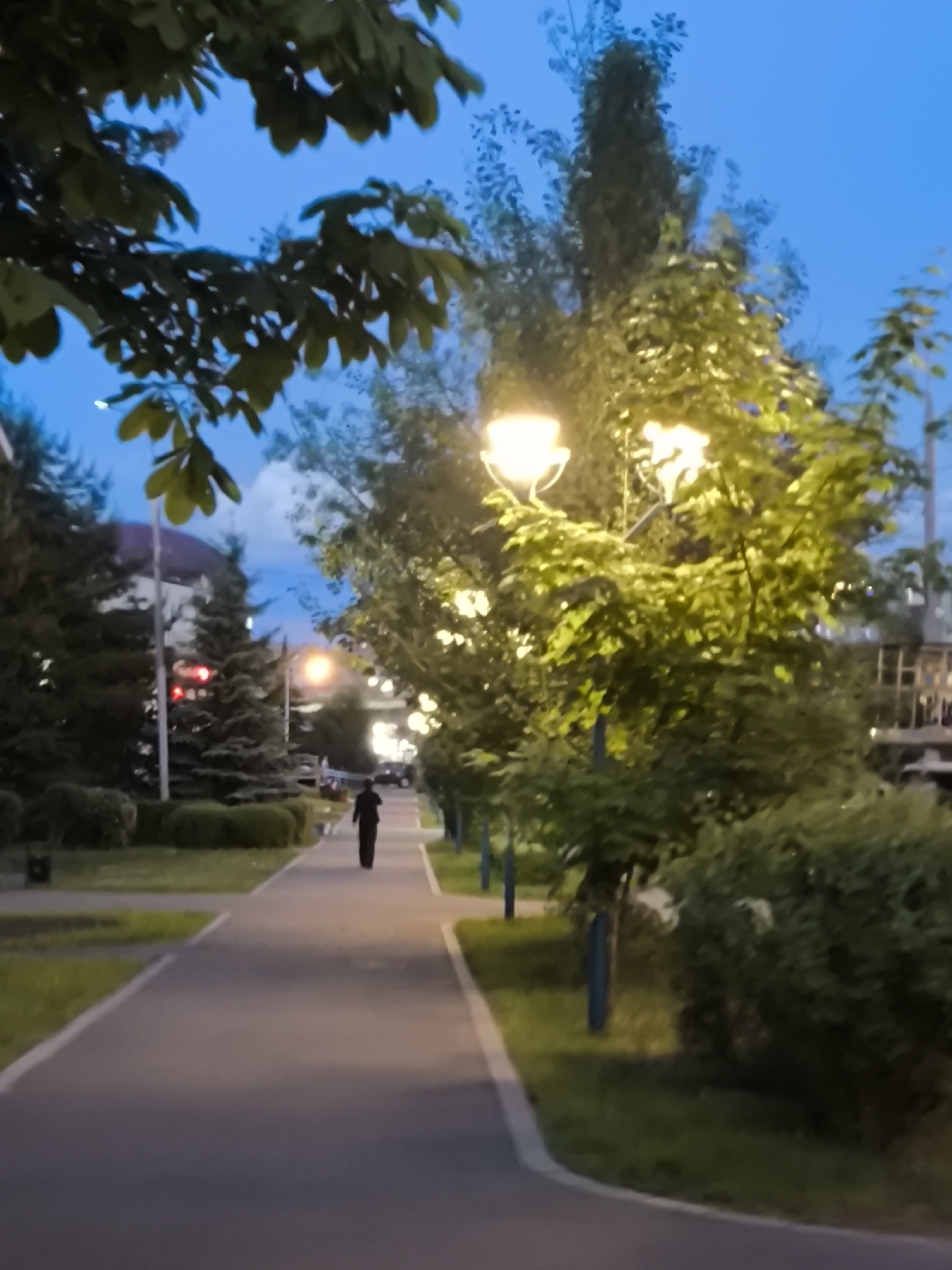 The image captures an outdoor scene at dusk or early night, featuring a paved pedestrian path bordered by trees and streetlights. A lone figure, dressed in dark clothing, walks away from the viewer along the path, positioned towards the left side of the frame in the middle distance.
The path has a lighter border on its right edge and curves gently into the background. Both sides of the path are lined with lush greenery, including tall deciduous trees with bright green leaves, particularly illuminated by the lampposts on the right, and evergreen trees on the left. Manicured bushes and hedges also flank the pathway. Multiple streetlights are active, casting a warm, bright glow that highlights sections of the trees and path. The sky is a clear, deep blue, indicative of twilight.
In the far background on the left, a light-colored building with a dark roofline and what appears to be a dark vehicle are partially visible, suggesting an urban or suburban setting. A dark trash can is present on the left side of the path closer to the foreground, and several blue poles line the right side of the path. The scene conveys a peaceful and quiet atmosphere. There is no visible text in the image.