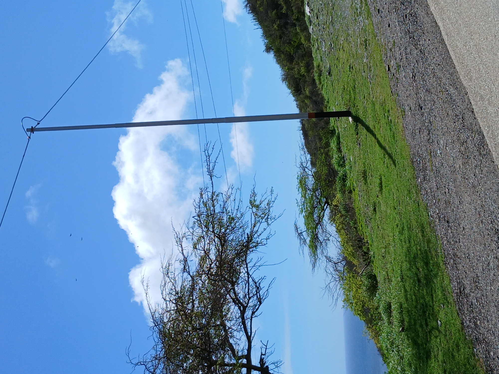 The image depicts a coastal hillside with sparse vegetation under a bright blue sky with scattered white clouds. A tall, slender utility pole stands on the right side of the frame, casting a shadow on the grassy slope. Power lines extend from the pole across the sky. A tree with gnarled branches is visible on the left, overlooking a body of water. The ground in the foreground is covered with gravel and a paved surface. The scene appears to be located in Playa El Agua, Venezuela, given the presence of coastal vegetation and the bright, sunny weather typical of the region. No people or animals are clearly visible in the image.