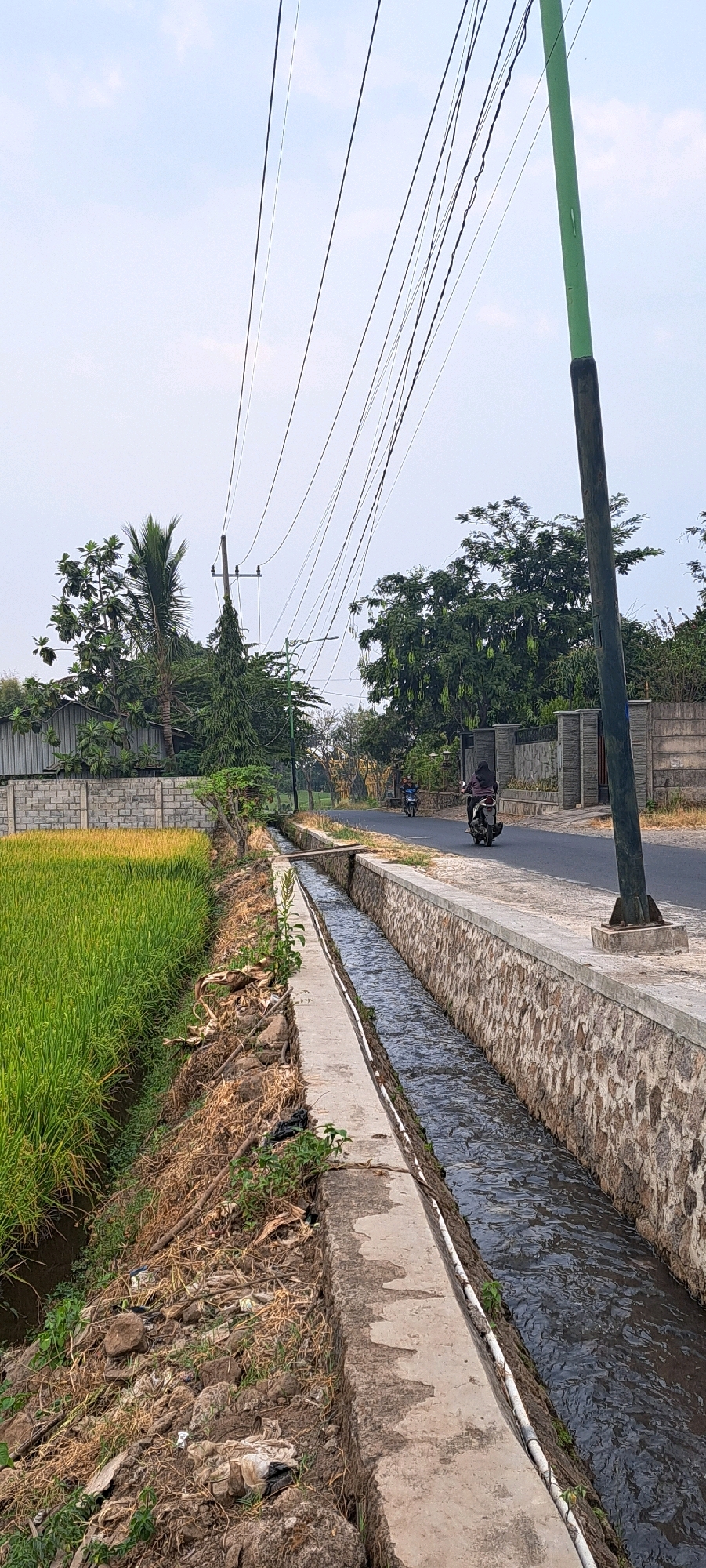 The image depicts a rural scene along a road in Bulukandang, Indonesia, characterized by a narrow waterway running parallel to a rice paddy. The waterway, bordered by stone and concrete, carries flowing water. Adjacent to the waterway, a field of green rice stalks is visible, separated by a dirt embankment littered with dried vegetation, rocks, and some scattered plastic waste.
A paved road runs alongside the waterway. Two individuals are on motorcycles traveling away from the viewer on this road. One motorcycle carries a person wearing a headscarf and a dark jacket. The other motorcycle is further ahead and also carries a rider. In the background, there are trees, a building with a light-colored brick wall, and a grey stone wall. Utility poles with numerous electrical wires stretch across the sky. A tall, green pole stands prominently in the foreground on the right side of the image. The sky is overcast with a pale blue hue.
