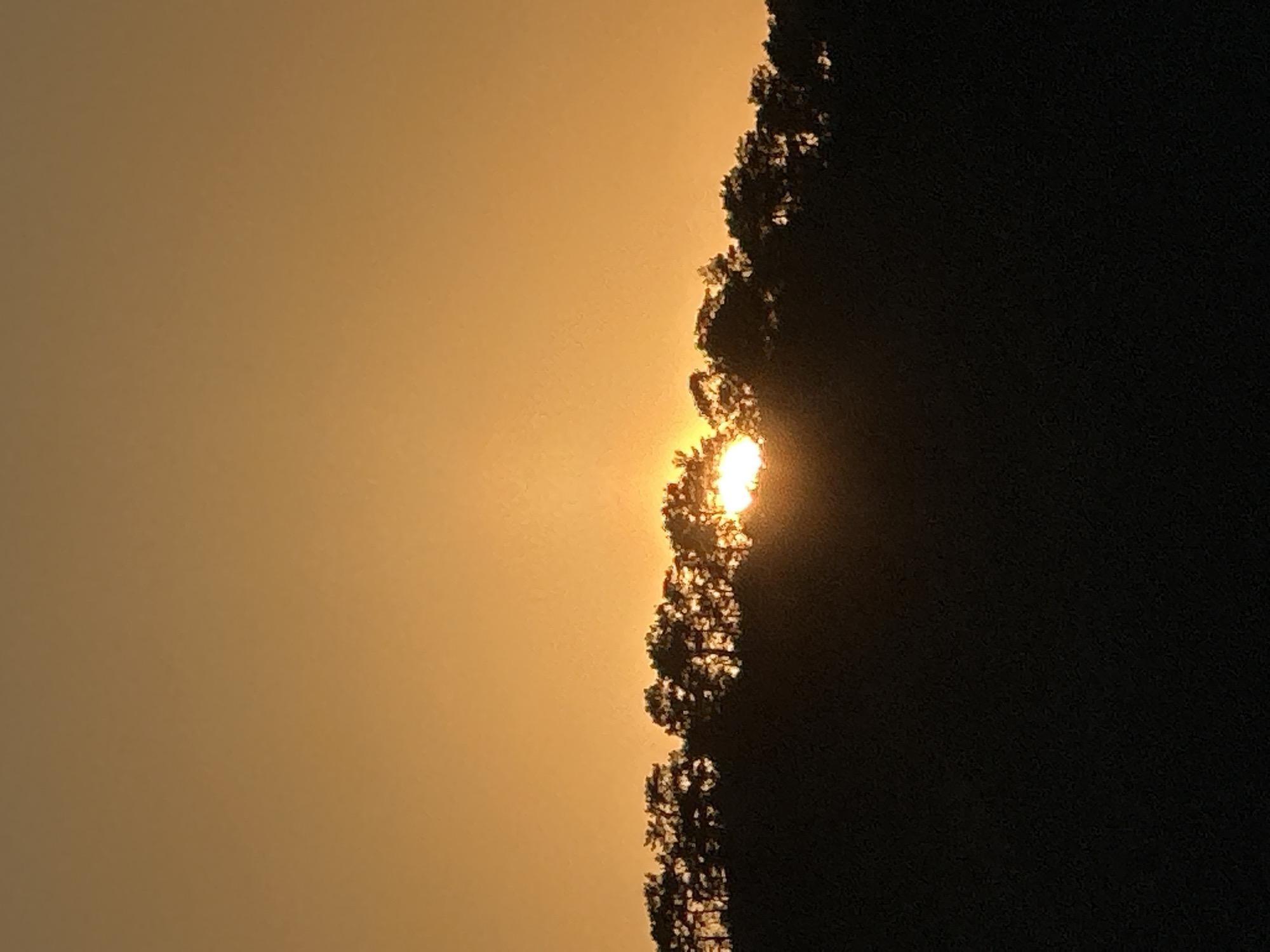 The image depicts a sunset in Fethiye, Turkey. The sky is a hazy orange color. The sun is partially obscured by trees, creating a bright glare. The trees are silhouetted against the sky and appear dark in color. The location is likely near a wooded area, as there are many trees present in the image.