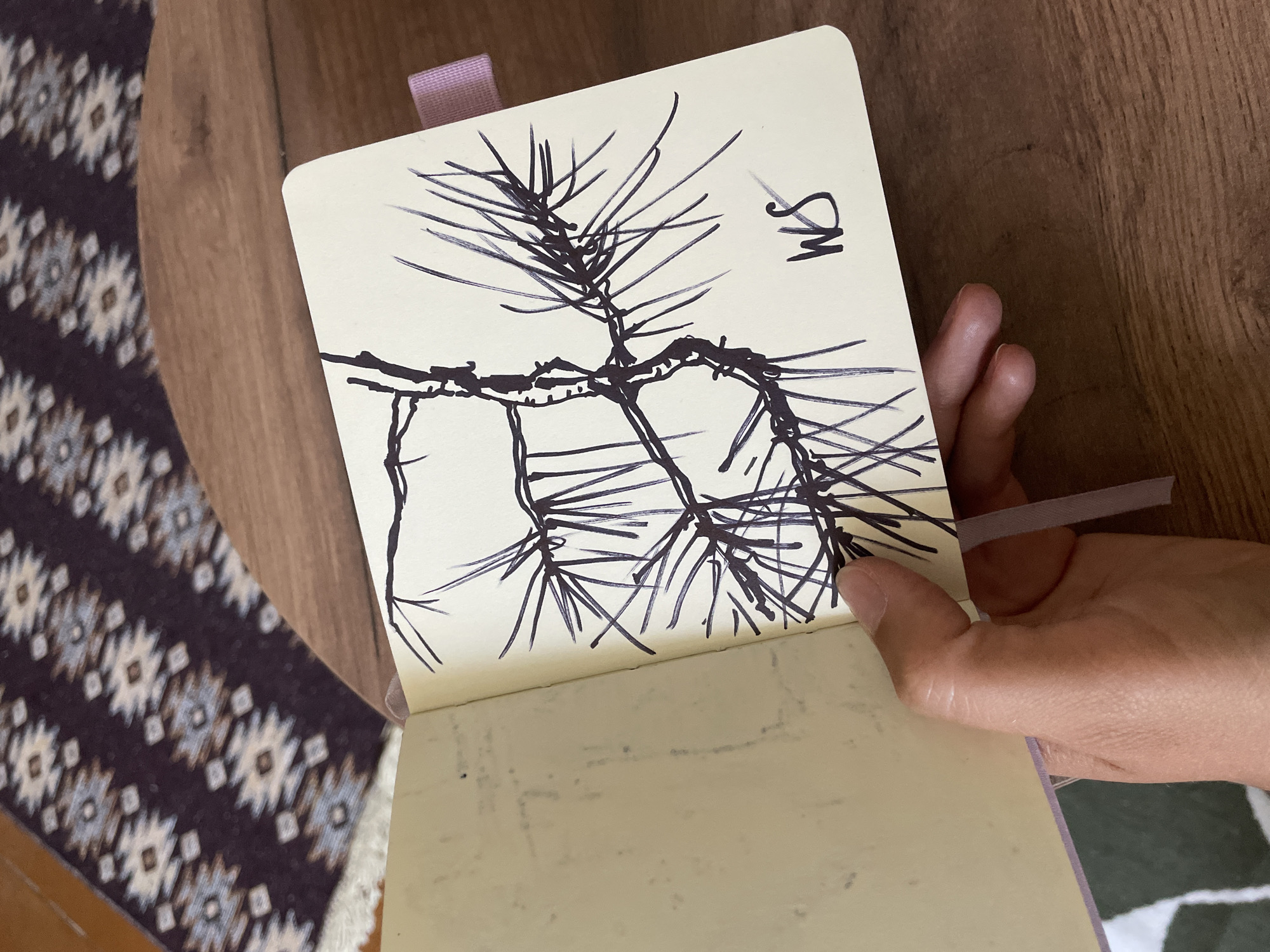 The image shows an open sketchbook with a drawing of pine needles on the right page. The left page has some faint scribbled marks. A hand is holding the sketchbook, with fingers visible on the left page and thumb near the spine. A purple ribbon bookmark is attached to the sketchbook. In the background, a patterned rug and a wooden surface are visible. A small signature, "WS", is present on the right page of the sketchbook.