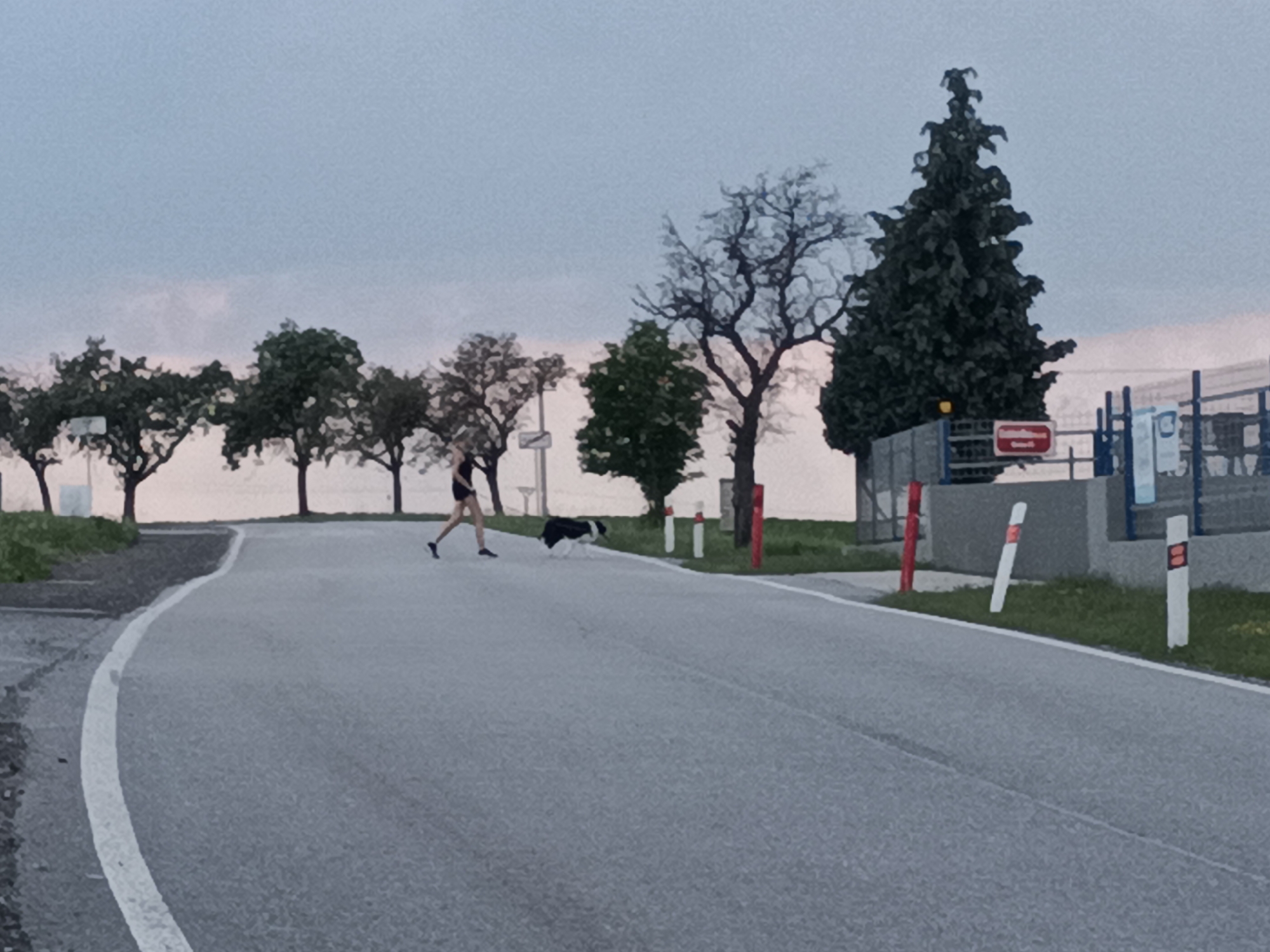 The image shows a paved road with a white line marking its edge. On the left side of the road, there is a grassy verge and a parking area. In the center of the road, a person in dark athletic wear is walking with a black and white dog. The person appears to be mid-stride, and the dog is walking beside them. In the background, a line of trees of various sizes and types extends across the scene. Some of the trees are bare, while others have foliage. Further in the background, a building or structure with blue fencing and signs is visible, along with red and white posts along the side of the road. The sky is overcast with a pale, grayish-blue hue. The image was taken in the city of Dalovy, Czechia.