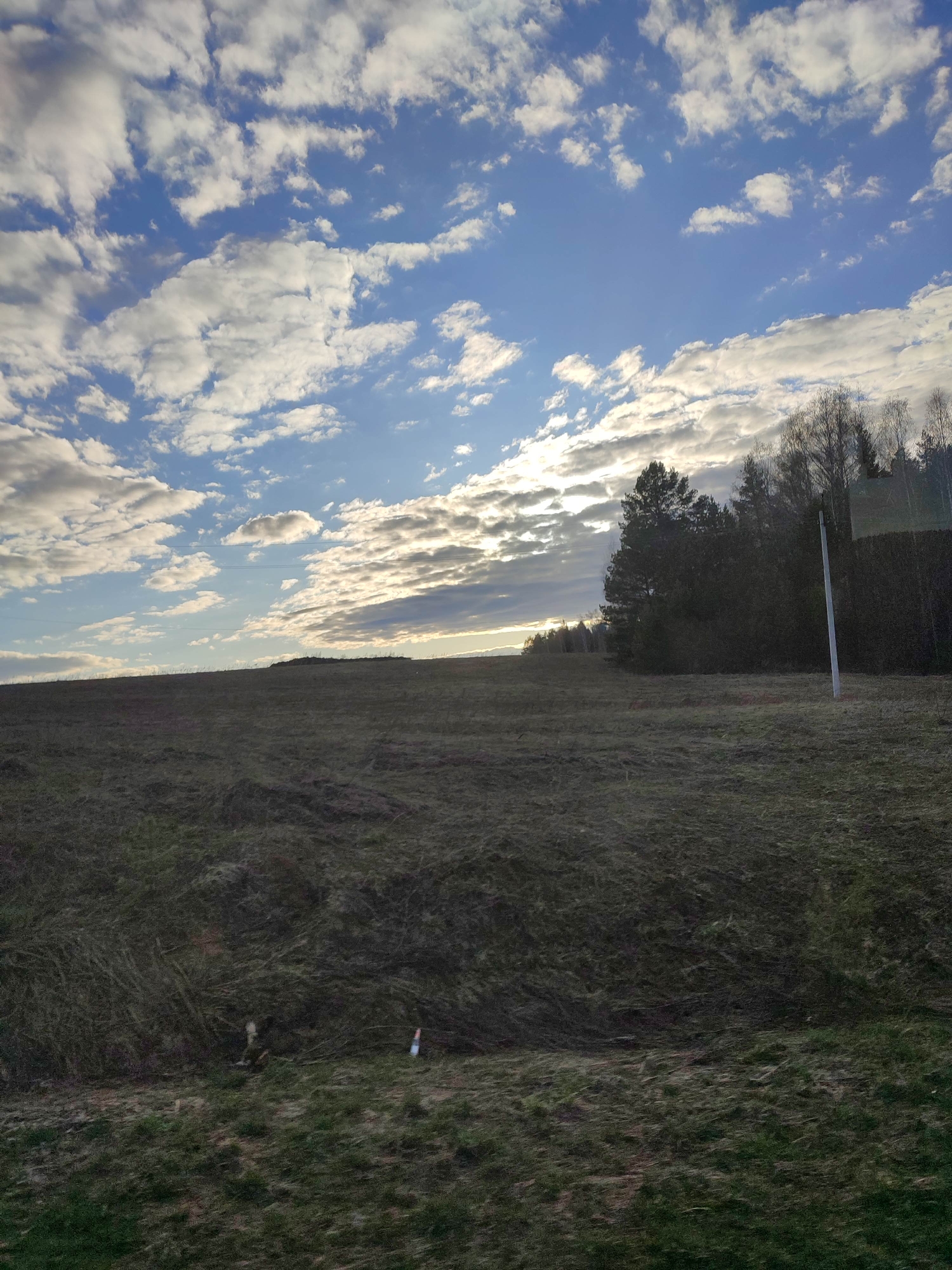 The image depicts an outdoor scene in Bol'shoi Bukor, Russia. The foreground is dominated by a field of mixed grass and scrub vegetation. In the middle ground is a line of trees, with a white pole to the right of the trees. The background features a blue sky with scattered white clouds. The sun is obscured by clouds, creating a diffused light.