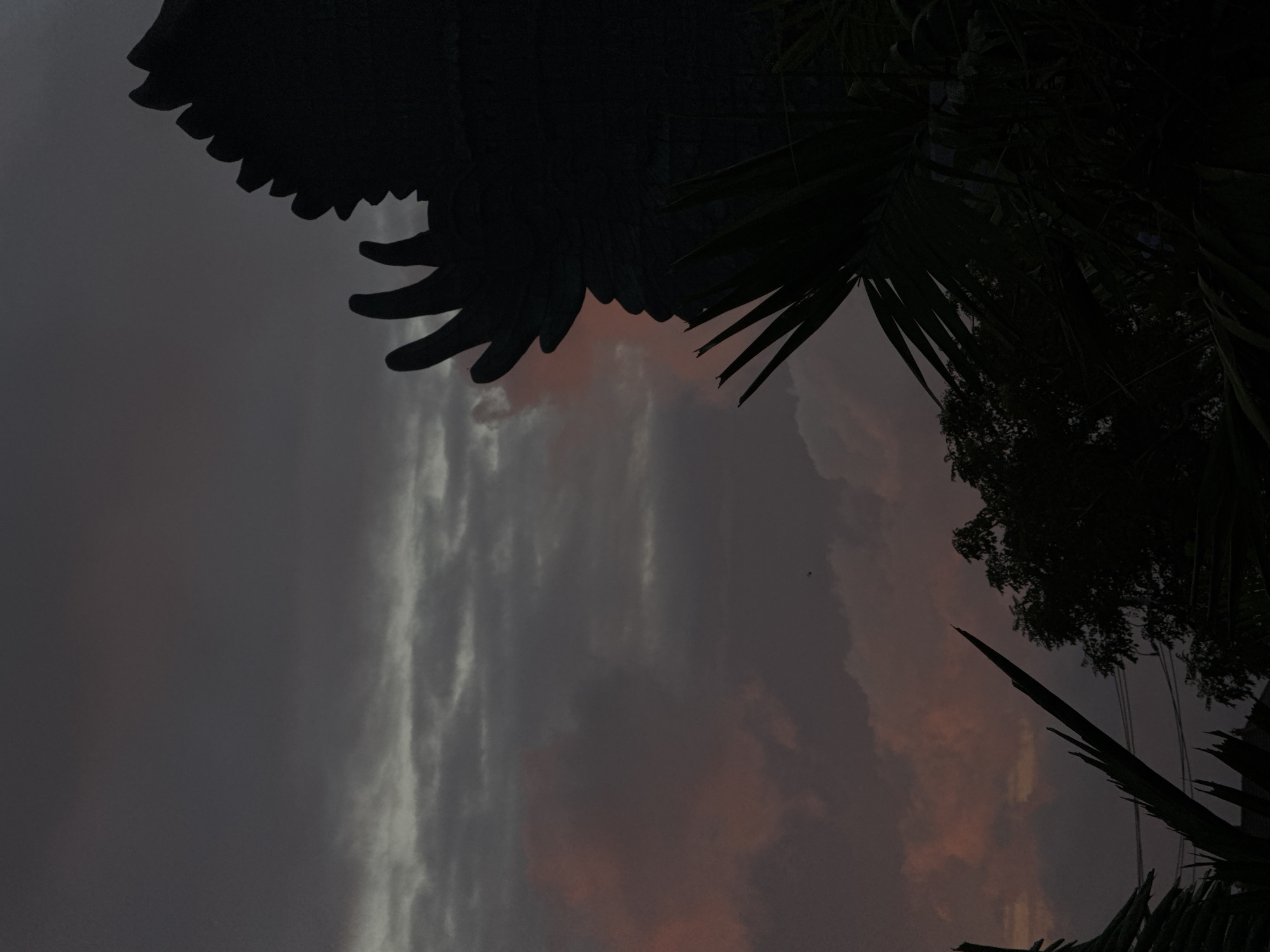 This image captures a silhouette of a statue, possibly Garuda Wisnu Kencana, against a dramatic twilight sky. The statue, rendered in dark silhouette, occupies the right side of the frame, its wings and crest clearly defined against the muted colors of the clouds. The sky itself displays a gradient of dark grays and purples, with streaks of pink and orange suggesting the last remnants of sunset. In the foreground and lower portion of the image, the dark silhouettes of tropical foliage, such as palm fronds and tree branches, frame the scene, adding depth and a sense of lushness to the environment. A small bird is visible in the upper left quadrant of the sky, a tiny dark speck against the vast expanse. The overall mood is serene and slightly mysterious, evoking the atmosphere of dusk in a tropical location.