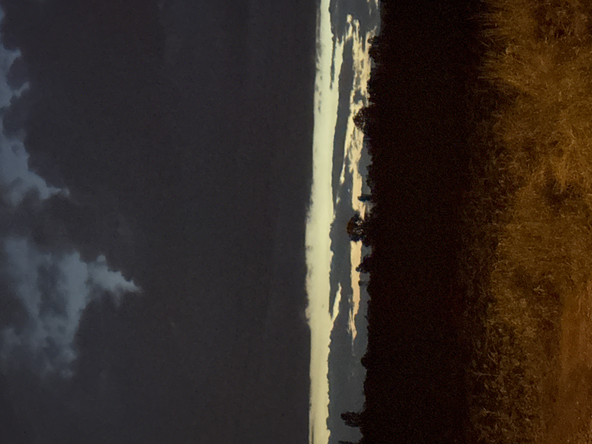 The provided image is a landscape photograph, oriented 90 degrees clockwise from its natural horizontal perspective.
When viewed in its intended orientation, the scene depicts a natural environment at either dawn or dusk. The upper portion of the frame features a vast, dark sky, heavily overcast with large, textured clouds. These clouds are predominantly dark grey and bluish-black, with lighter, muted grey patches indicating diffused light filtering through.
Across the middle of the scene, a distinct and luminous horizontal band of pale yellow-white light marks the horizon. This bright line contrasts sharply with the darker elements of the sky and the ground. Immediately below this horizon, a silhouetted line of distant trees or dense foliage stretches across the mid-ground, appearing as a dark, irregular shape against the lighter sky.
The lower portion of the image is filled with a dense mass of tall grass or brush. This foreground element is primarily dark brown and reddish-brown, indicative of deep shadow. However, parts of it, particularly towards the right side of the frame, are illuminated by a warm, golden-orange light, which highlights the individual blades and textures of the vegetation.
No people, animals, or man-made structures are visible in the photograph, nor is any text present. The overall atmosphere conveys a sense of natural tranquility and dramatic light conditions typical of twilight hours.