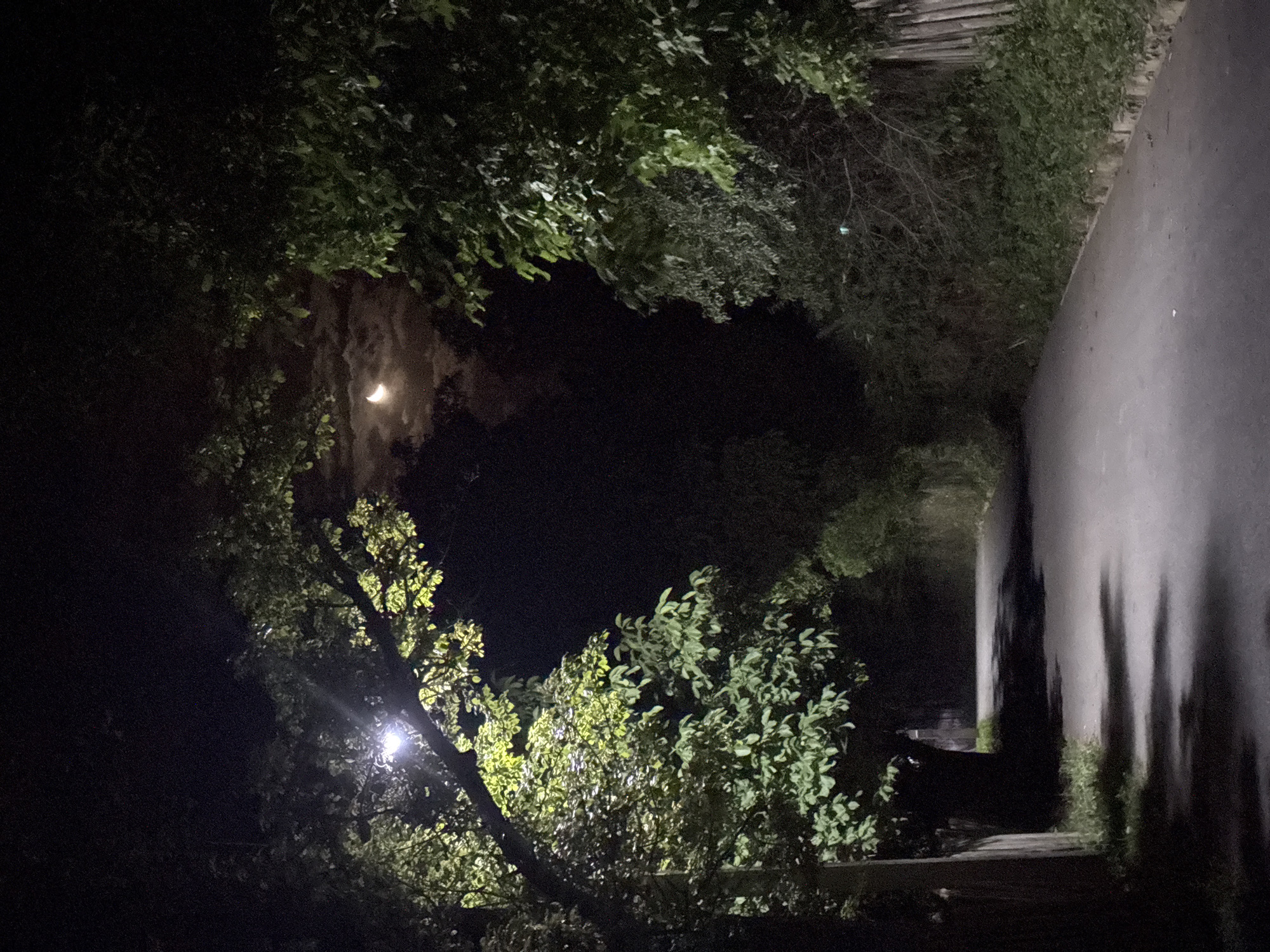 An asphalt road winds through a dense, tree-lined area at night in Mzetamze, Georgia. The road is illuminated by a single streetlamp casting stark shadows from the branches of a large tree on the left. The moon is visible in the upper right portion of the image, partially obscured by clouds. The surrounding vegetation is lush and dark, with a wooden fence visible on the right side of the road. The scene is otherwise devoid of human presence or activity.