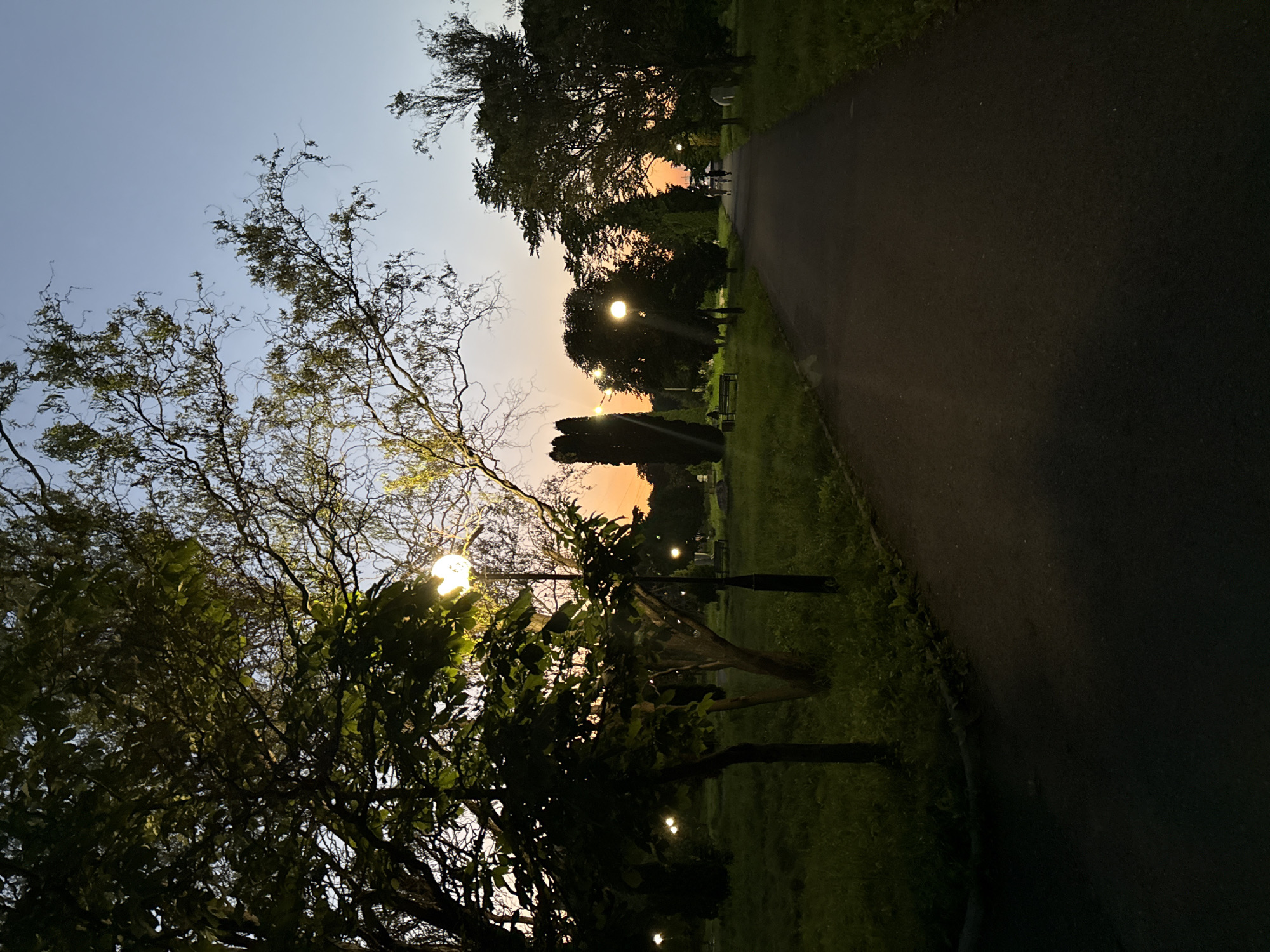 The image depicts a park at dusk in Endirei, Russia. A paved path runs diagonally through the scene, bordered by lush green grass and trees. Several people are visible walking in the distance on the path, silhouetted against the warm, orange glow of the setting sun. Streetlights dot the park, with one particularly bright light illuminating the leaves of a large tree in the foreground. The sky transitions from a clear, pale blue at the top to a soft, peachy hue near the horizon, indicating sunset. The overall mood is serene and tranquil, with the gentle light of dusk casting a peaceful atmosphere over the park. There is no visible text in the image.