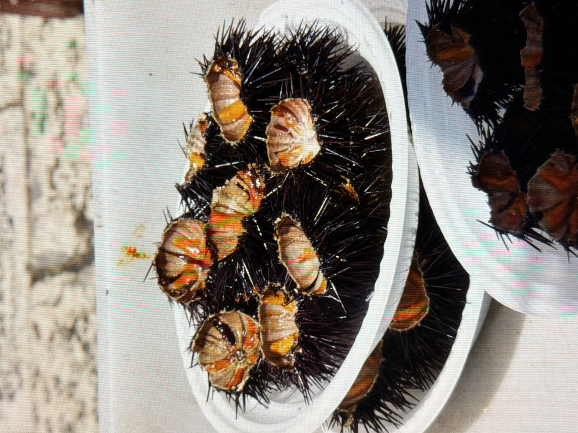 The image displays a close-up view of several sea urchins arranged on white plates. The sea urchins are dark with prominent spines, and their opened tops reveal an orange-colored interior. The lighting suggests an outdoor setting, possibly a market or a food stall. The background is blurred and appears to be a sandy or gravelly surface. There are no people visible in the image. The scene does not contain any identifiable landmarks or elements that would indicate a specific location within the city of Kyiv, Ukraine.