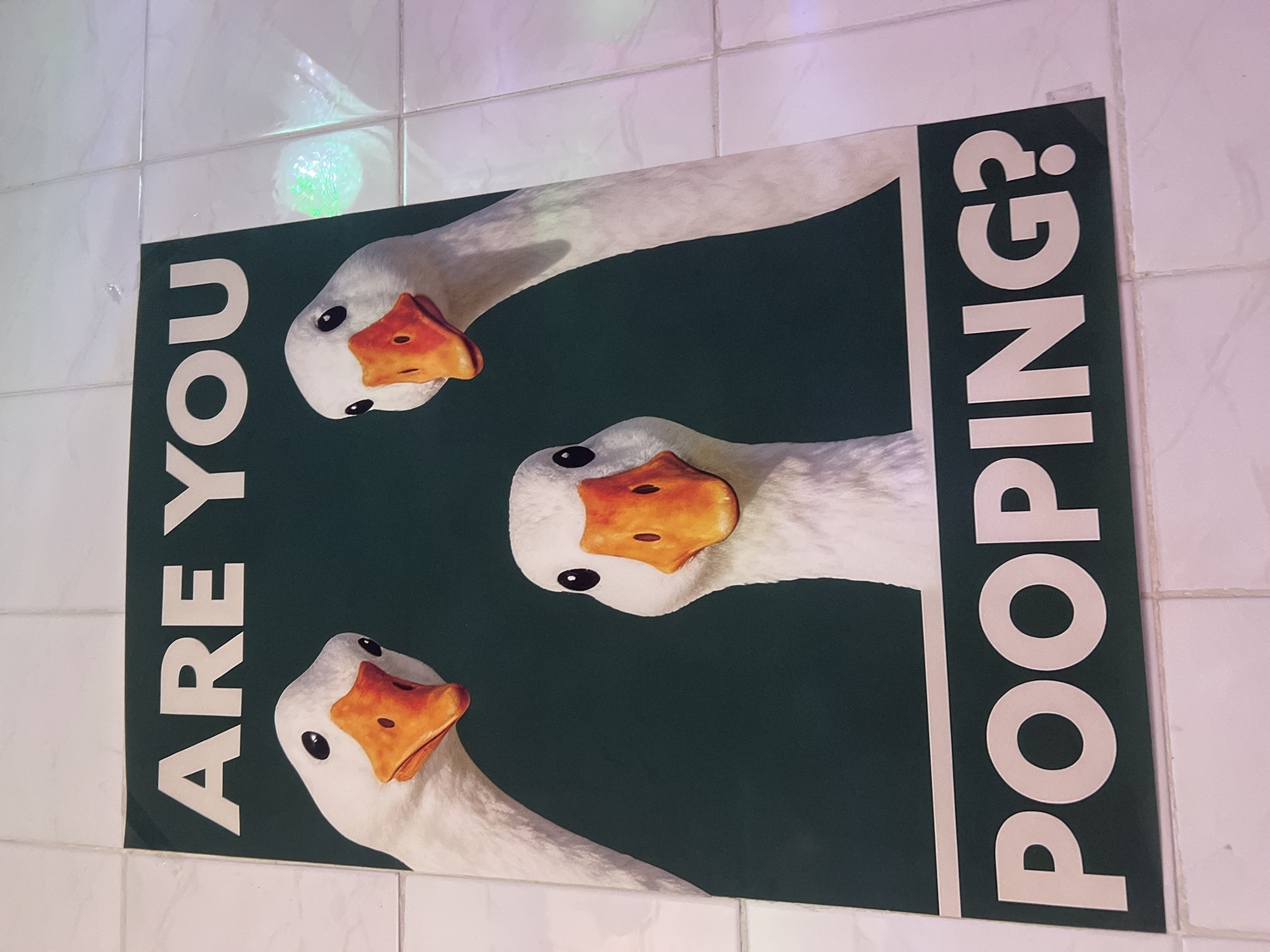 A sign is affixed to a white tiled wall. The sign is dark green with three white geese facing the viewer. The text on the sign reads, "ARE YOU POOPING?" The location is potentially a bathroom in Budva, Montenegro.