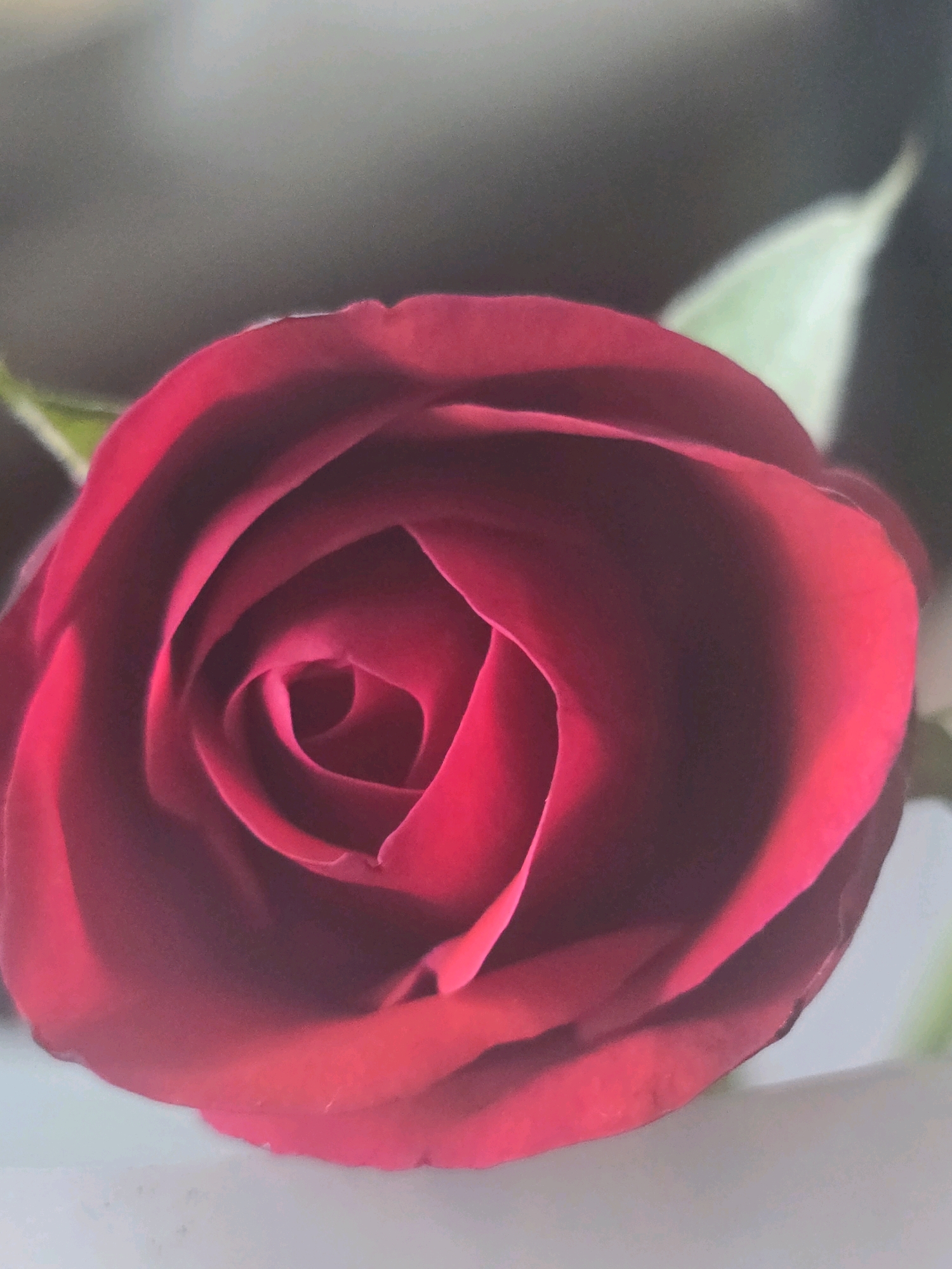 A close-up, top-down view of a deep red rose in Blunsdon St Andrew, United Kingdom. The rose is fully bloomed, with tightly furled petals forming a spiral at its center. The petals are a rich, velvety red, with subtle variations in shade due to the lighting. A hint of a pale green leaf is visible to the right of the bloom, and another to the left, peeking out from behind the petals. The background is softly blurred, appearing as a gradient of dark gray to lighter gray, suggesting an indoor setting or a shaded outdoor area. The bottom of the image shows a blurred, pale surface, possibly a table or windowsill.