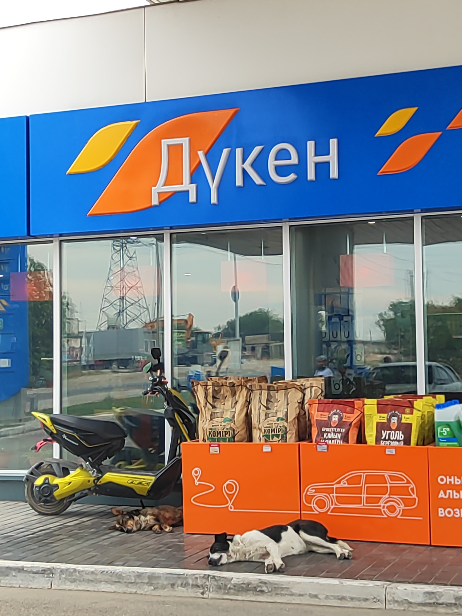 The image shows the exterior of a store with a large blue sign that says "Дукен" in Russian. In front of the store, there is a yellow electric scooter parked. On the sidewalk, two dogs are resting. One dog is lying down near the scooter, and another dog is lying down in front of a display of products. The display features bags of what appear to be coffee or charcoal, along with orange signage that includes an outline of a car and text in Russian. Behind the display, the windows of the store reflect an outdoor scene with trees and structures. The overall impression is of a retail establishment in a somewhat urban or semi-urban environment.