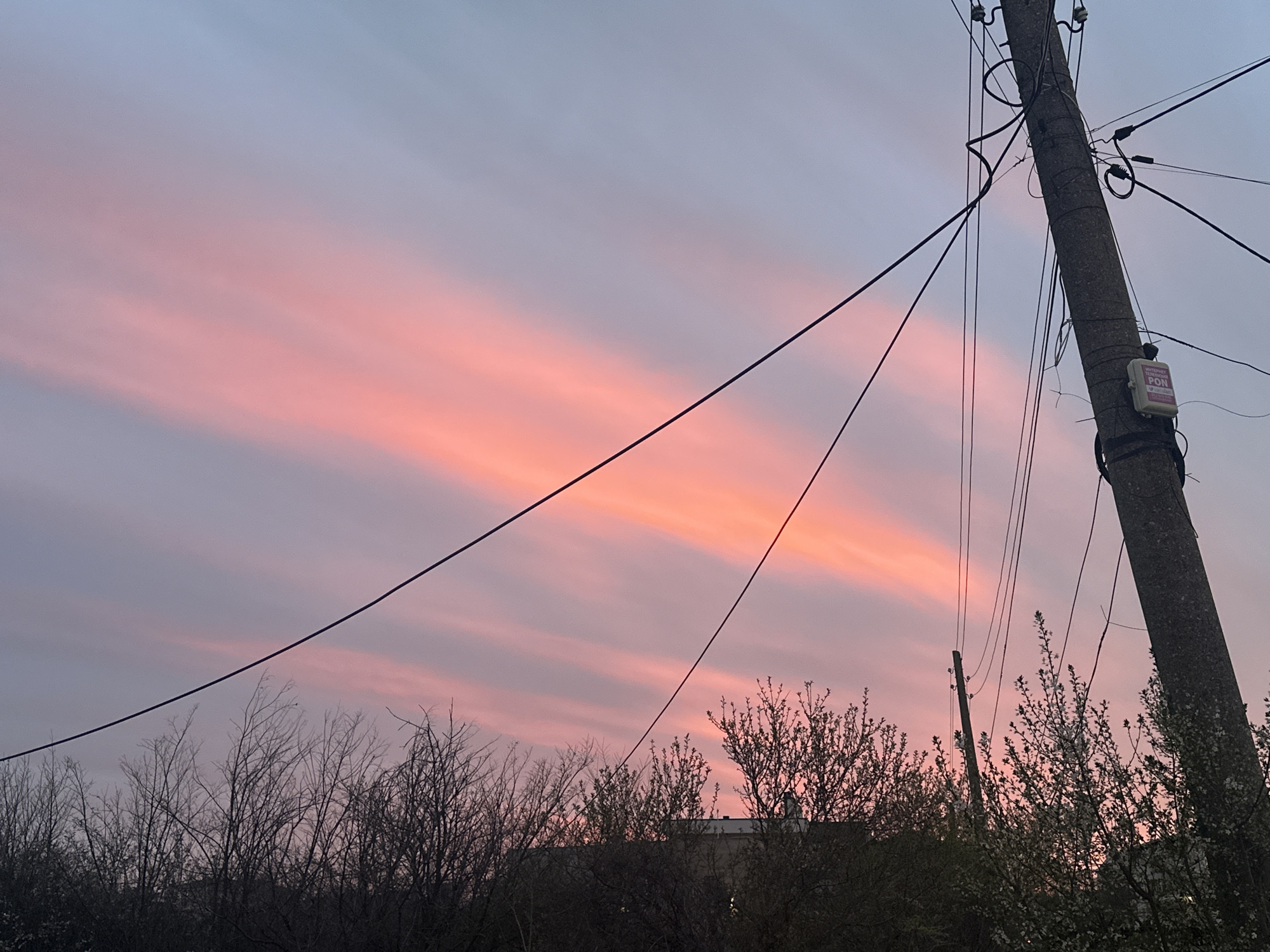 The image depicts a dusk or dawn scene in Varna, Bulgaria. The sky is filled with layered clouds exhibiting a gradient from pale blue to shades of pink and orange, indicating the presence of sunlight. In the foreground, there are tree branches, some with budding leaves, appearing as dark silhouettes against the bright sky. A concrete utility pole is situated to the right of the frame, accompanied by a network of electrical wires running across the scene. Attached to the pole is a white box labeled "INTERNET GPON PON," indicating fiber optic internet service. The scene appears residential or suburban, evidenced by the utility pole and vegetation. No people, interactions, or actions are visible in the image.