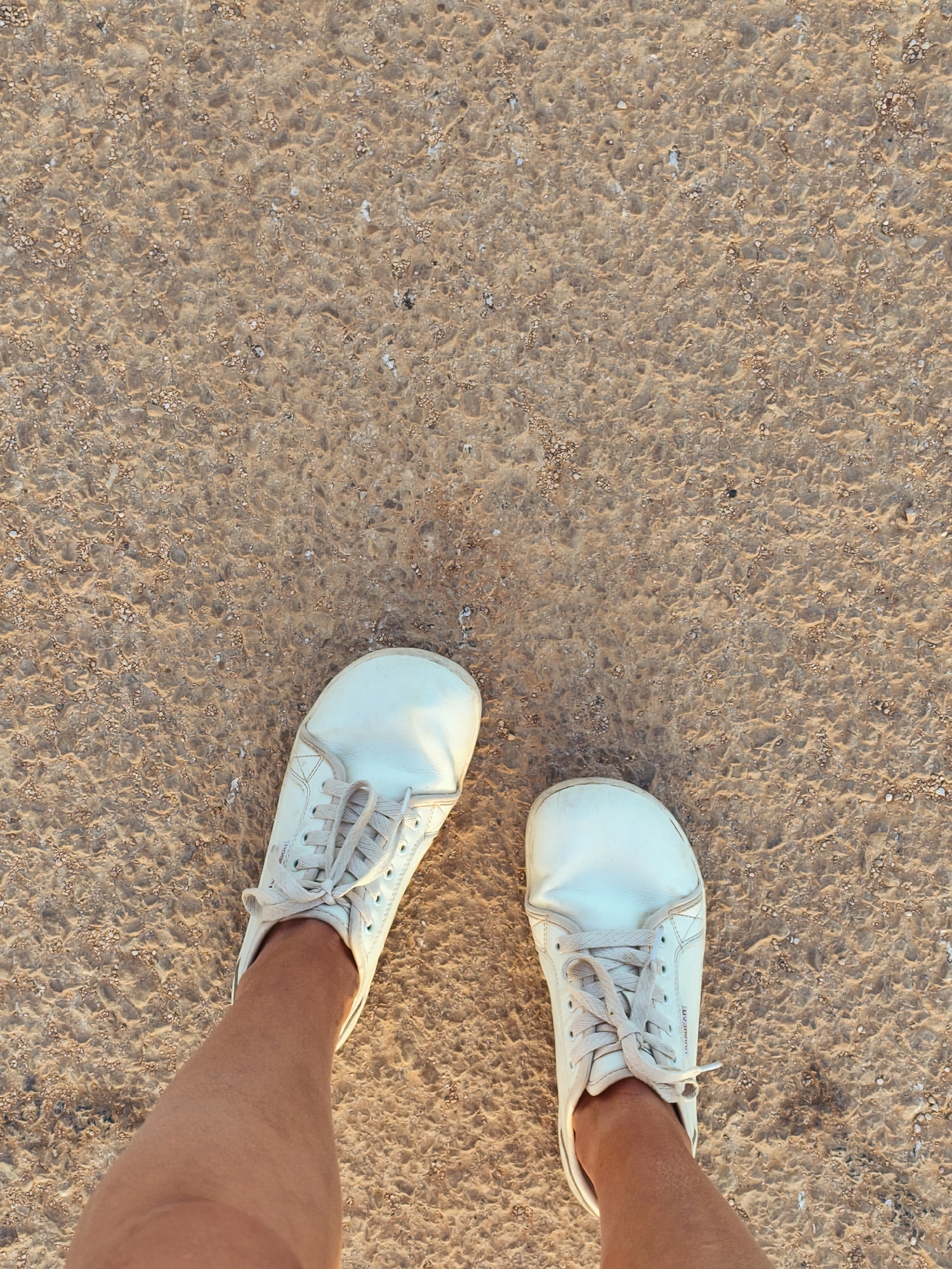 The image presents a top-down view of a person's feet and lower legs, standing on a textured outdoor surface. The individual is wearing white, low-cut, lace-up shoes, characteristic of a minimalist or barefoot style, with visible creasing on the uppers indicating wear. Only the feet and the lower part of the shins are discernible, extending from the bottom of the frame.
The ground consists of a dense scattering of small, light brown, tan, and grayish-white pebbles and crushed aggregate, forming a rough and uneven terrain. The lighting is warm and golden, suggesting either early morning or late afternoon sunlight, which casts soft shadows and illuminates the scene with a pleasant glow. This type of light implies clear skies. Faint, unreadable text, potentially a brand name, is visible on the outer side of the right shoe. The setting appears to be an outdoor path or open ground, aligning with the context of the Lachish Regional Council in Israel.