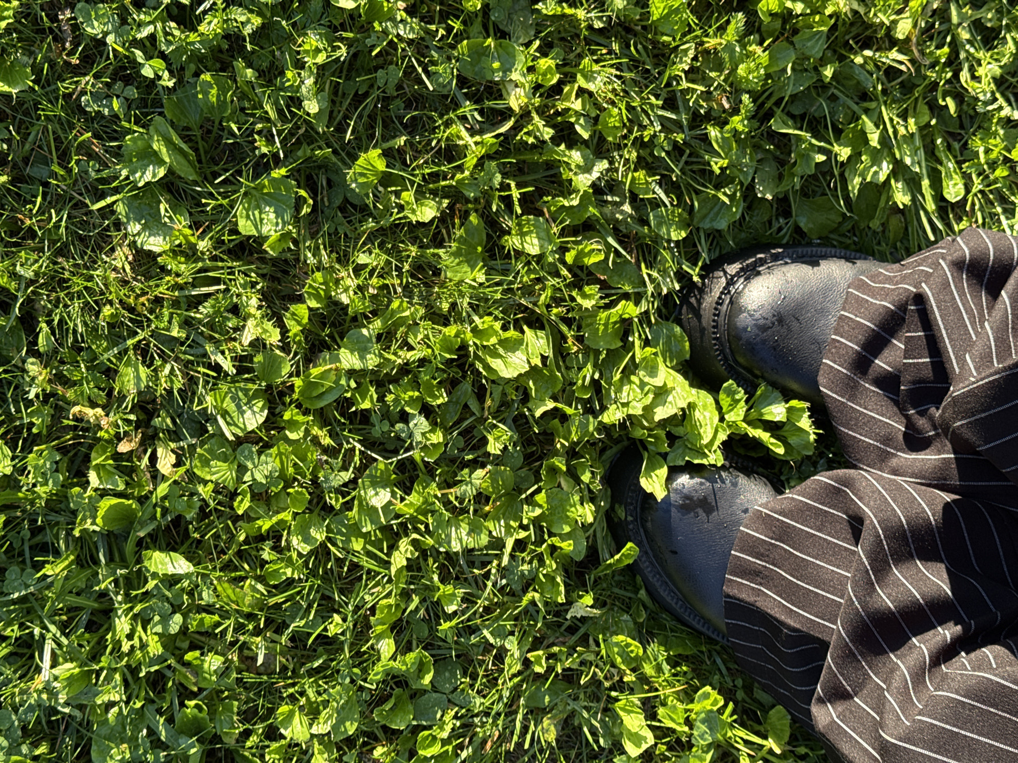 In Votkinsk, Russia, on a bright day, a person is standing on a patch of green grass. The grass is a mixture of short blades and broader leaves, with some areas appearing slightly damp. The person is wearing black boots and dark pants with thin white pinstripes. The camera is positioned overhead, looking down at the ground and the person's lower legs and feet. The lighting suggests direct sunlight, casting shadows and highlighting the textures of the grass and clothing.
