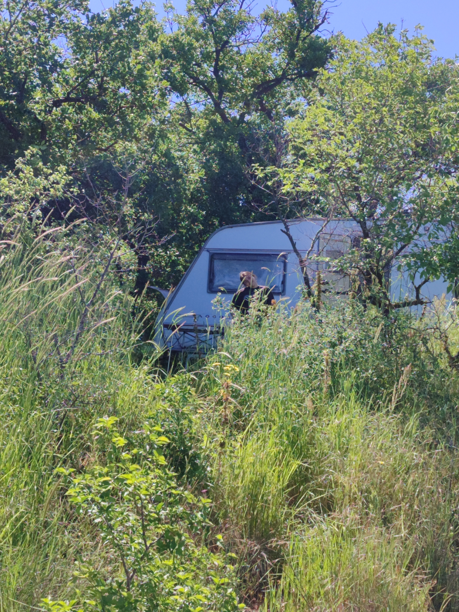 A partial view of a light-blue camper is seen through tall grass and trees under a clear, blue sky. The camper has a rectangular window through which a person can be partially seen. A folding chair is partially visible underneath the camper. The location is likely a rural or undeveloped area, possibly in the outskirts of Burgas, Bulgaria, due to the type of vegetation present.