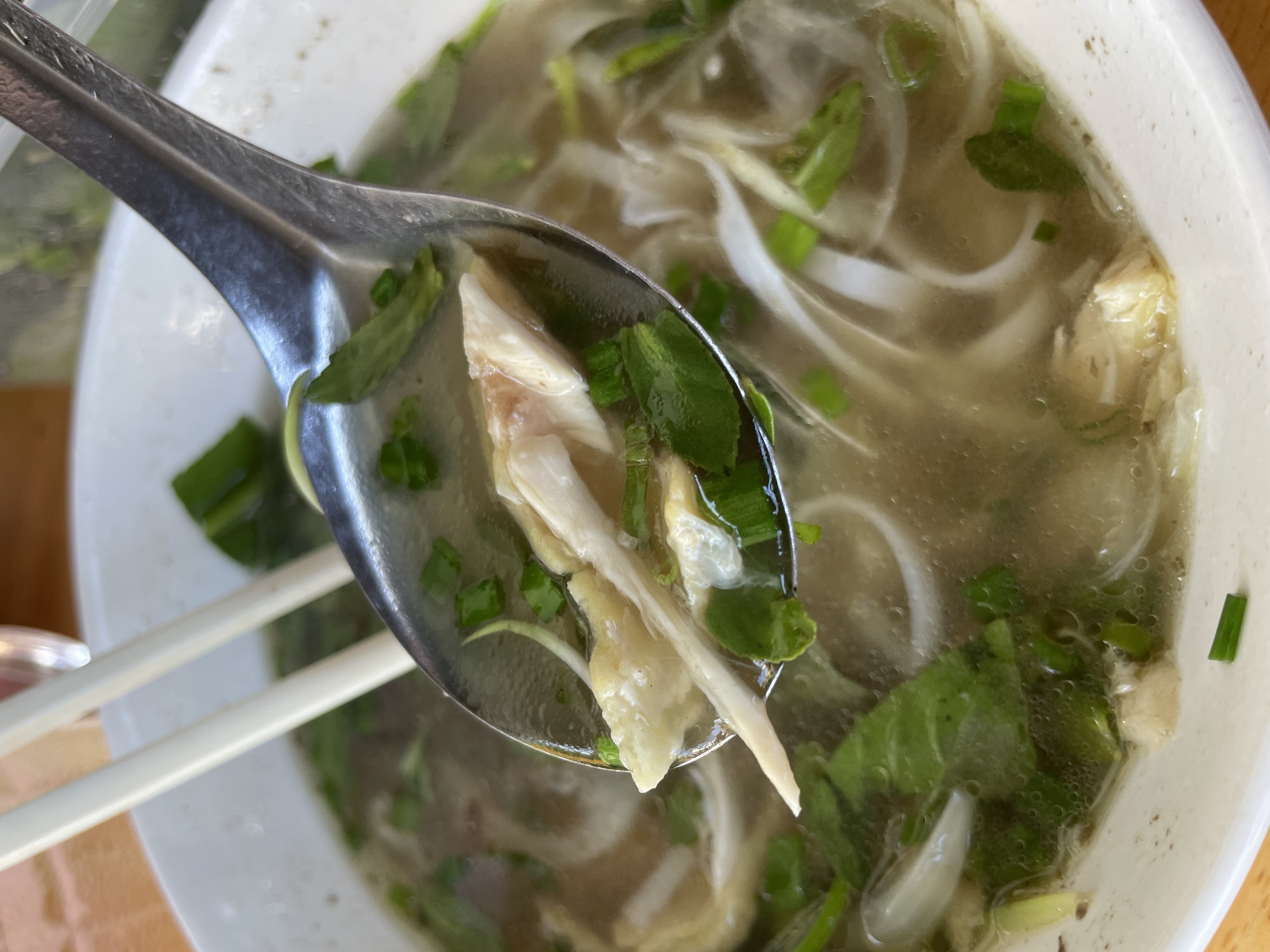 A close-up shot captures a spoonful of pho soup being lifted from a white bowl. The spoonful reveals shredded chicken, green onions, and broth. The bowl itself contains noodles, more green onions, and possibly thinly sliced onions. The pho is served with a pair of white chopsticks resting on the rim of the bowl, and the background is slightly blurred, suggesting an outdoor setting in a city. The lighting is natural, and the overall impression is of a vibrant, fresh dish.